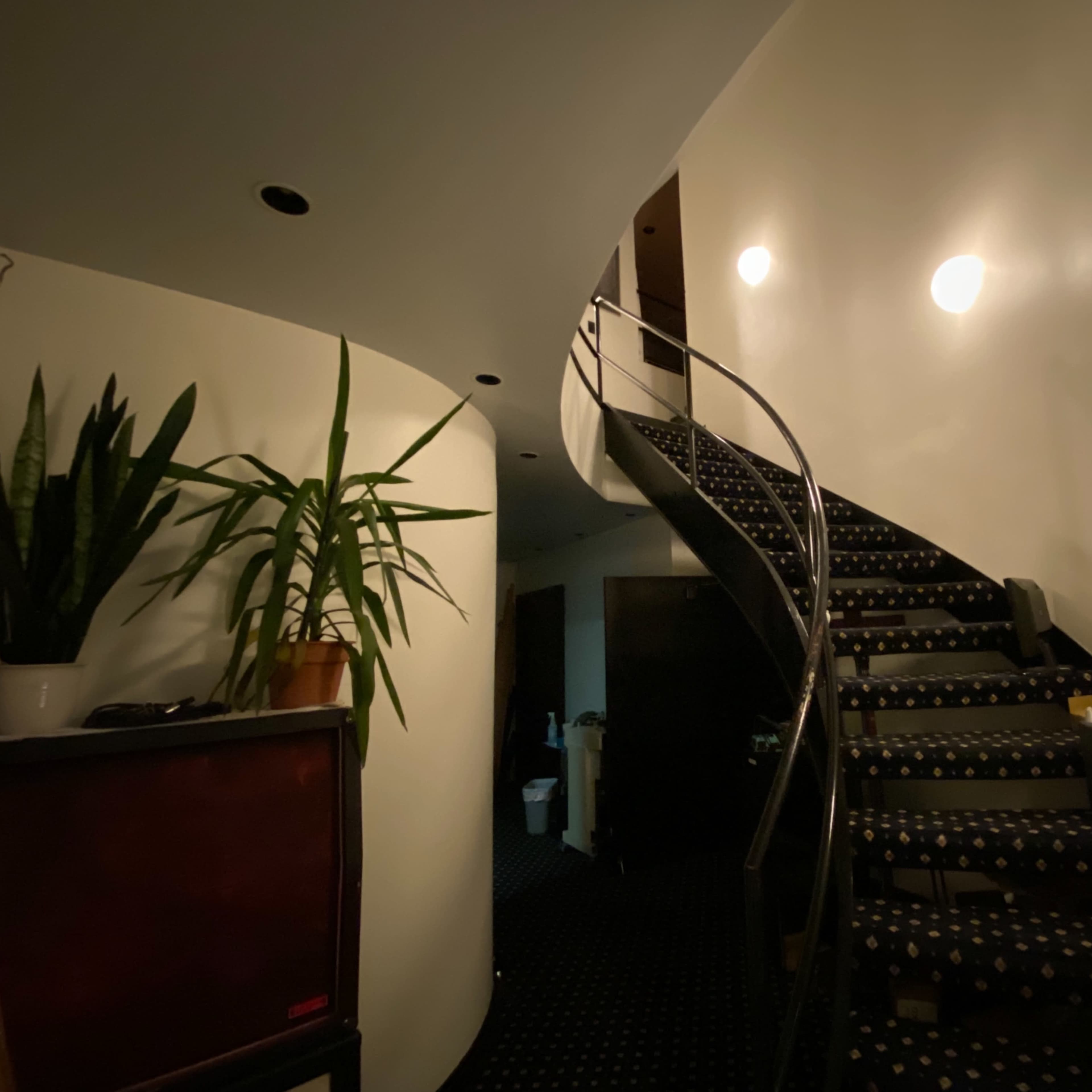 A spiral staircase with carpeted steps leads up a curved wall, illuminated by wall-mounted lights.