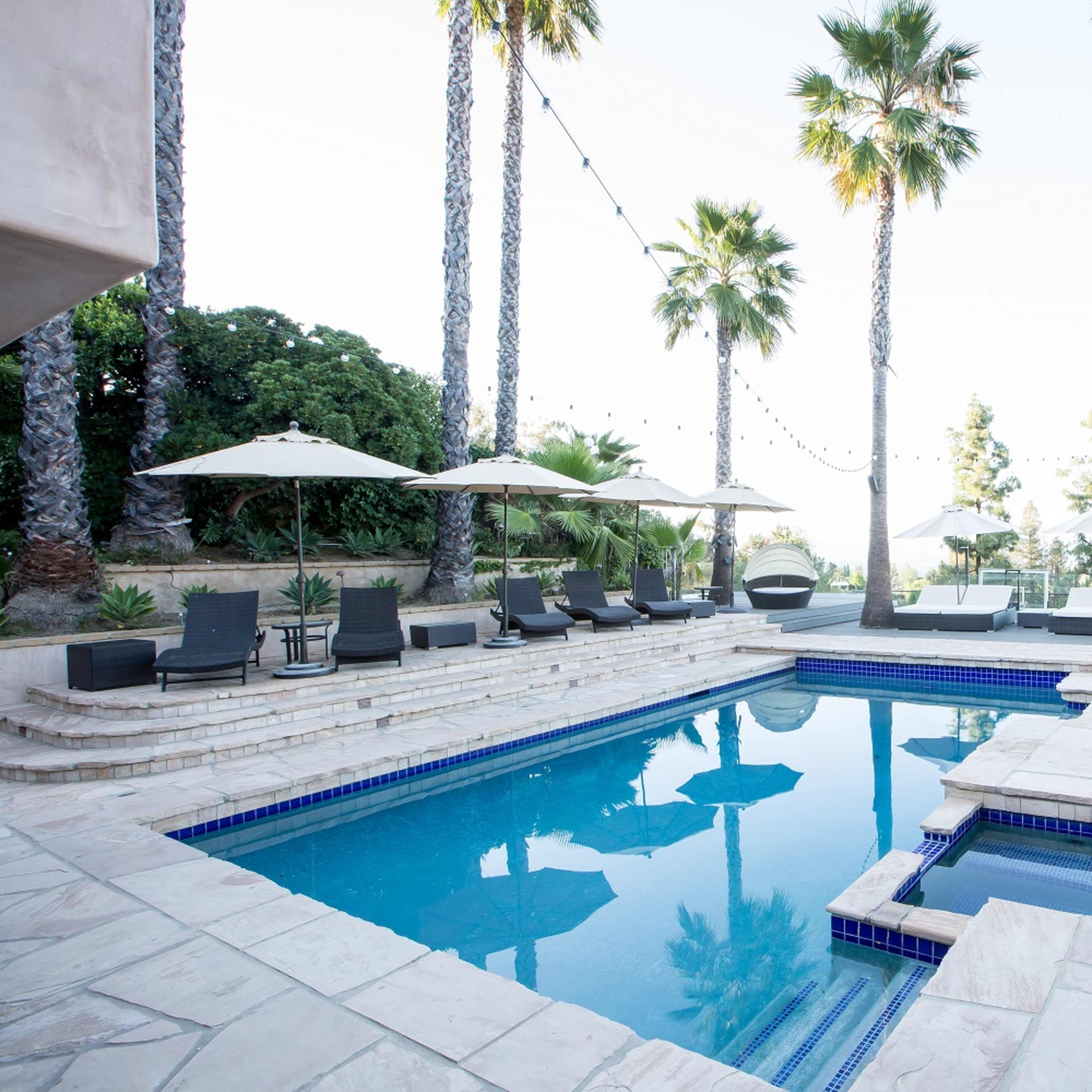 A clear swimming pool with a spa is surrounded by lounge chairs and umbrellas, set against a backdrop of tall palm trees.