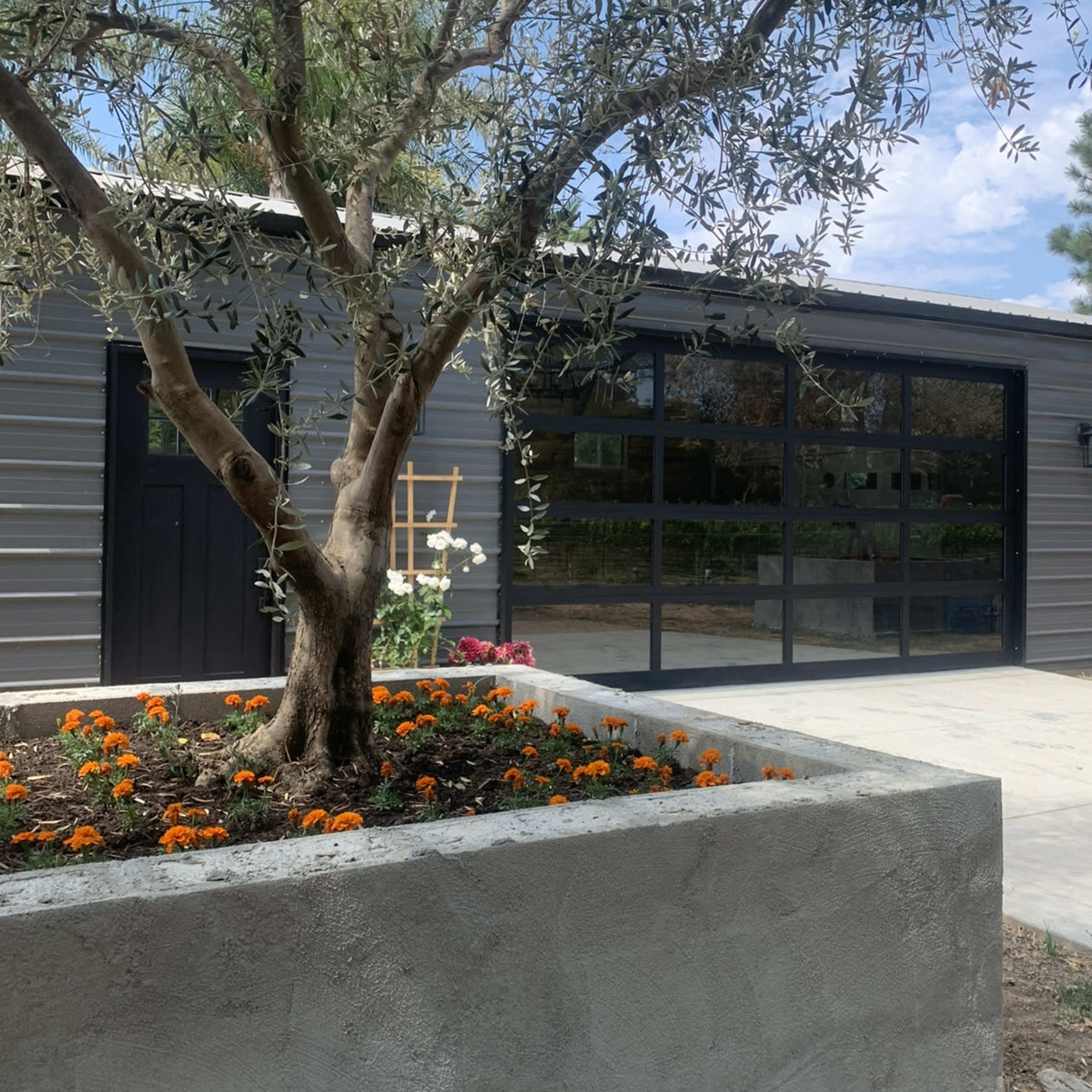A gray metal building with large glass doors is set behind a flowering garden bed featuring orange marigolds and an olive tree.