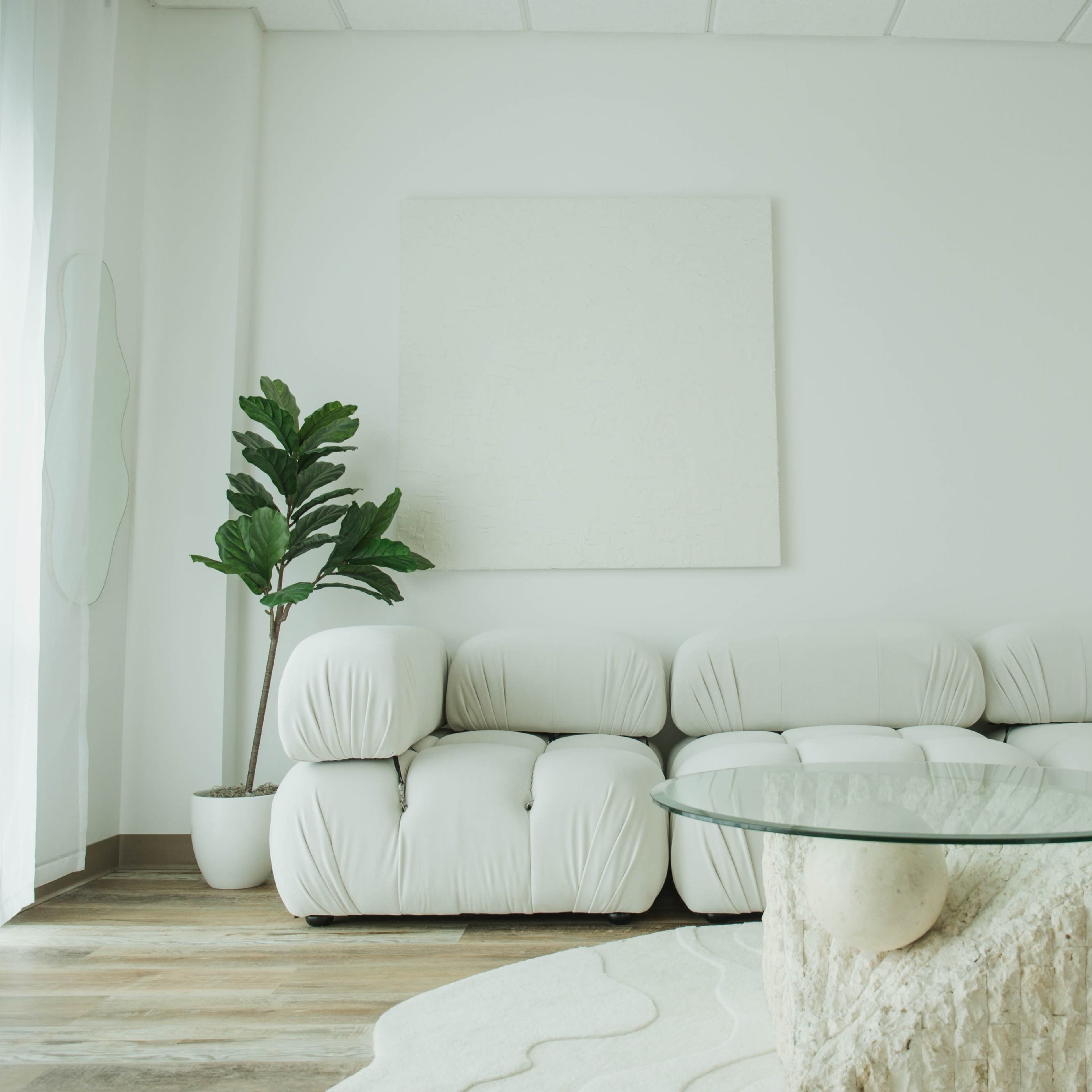 A minimalist living room features a white modular sofa, a glass table, and a potted plant against a light-colored wall.