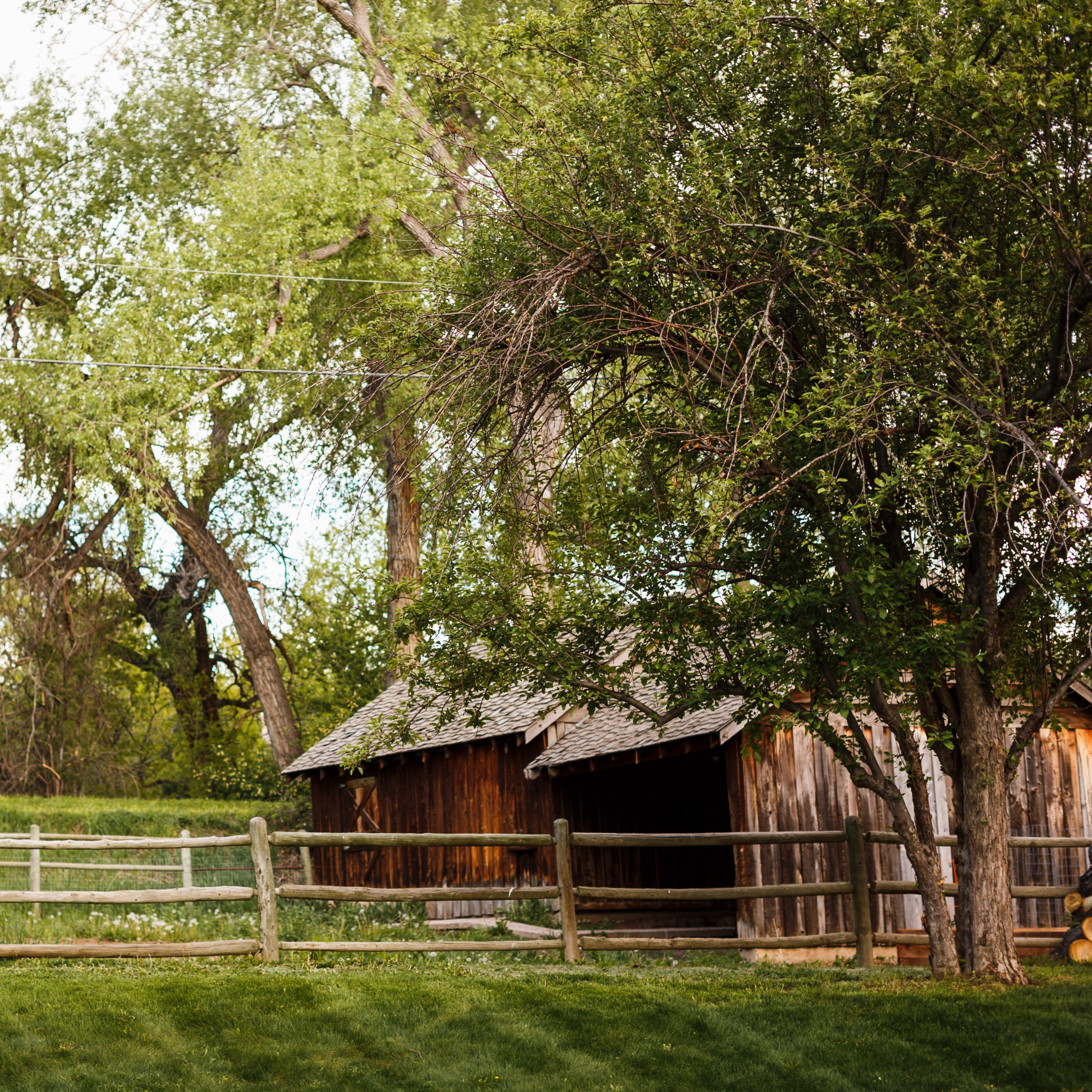A rustic wooden shed is surrounded by lush green trees and a wooden fence.