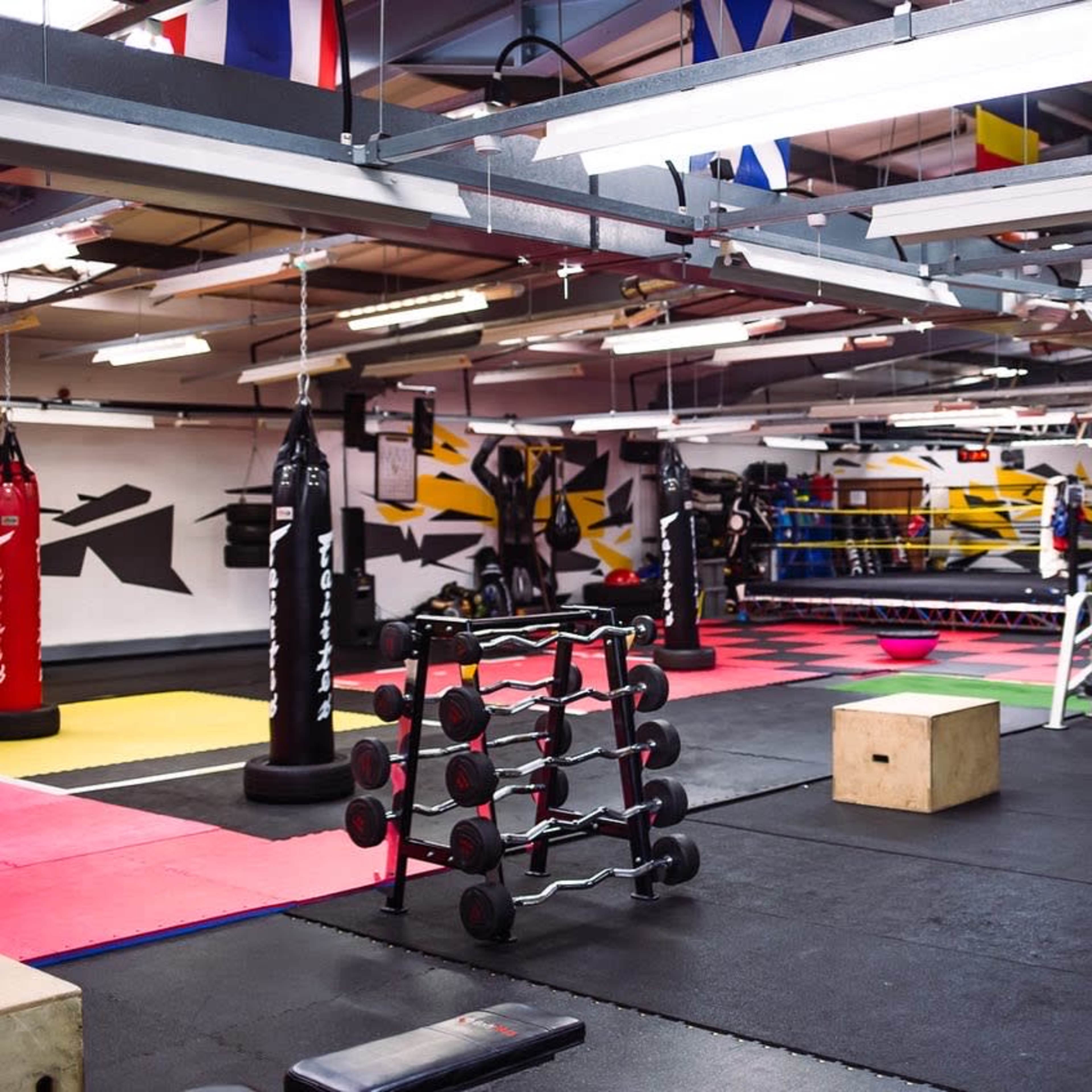 An indoor gym with various exercise equipment, including punching bags, weights, and colored mats.