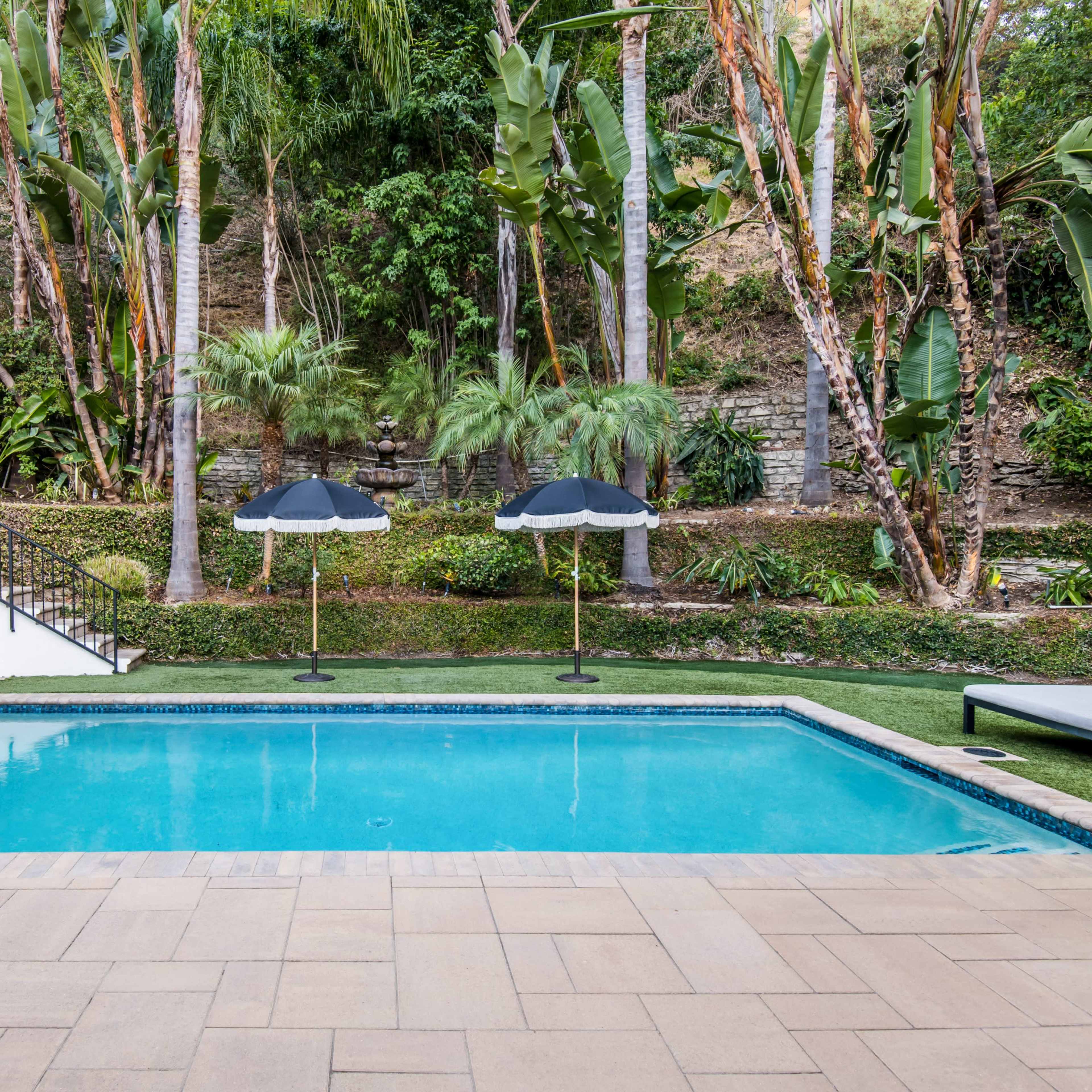 A swimming pool surrounded by greenery, with two umbrellas and a lounge chair nearby.