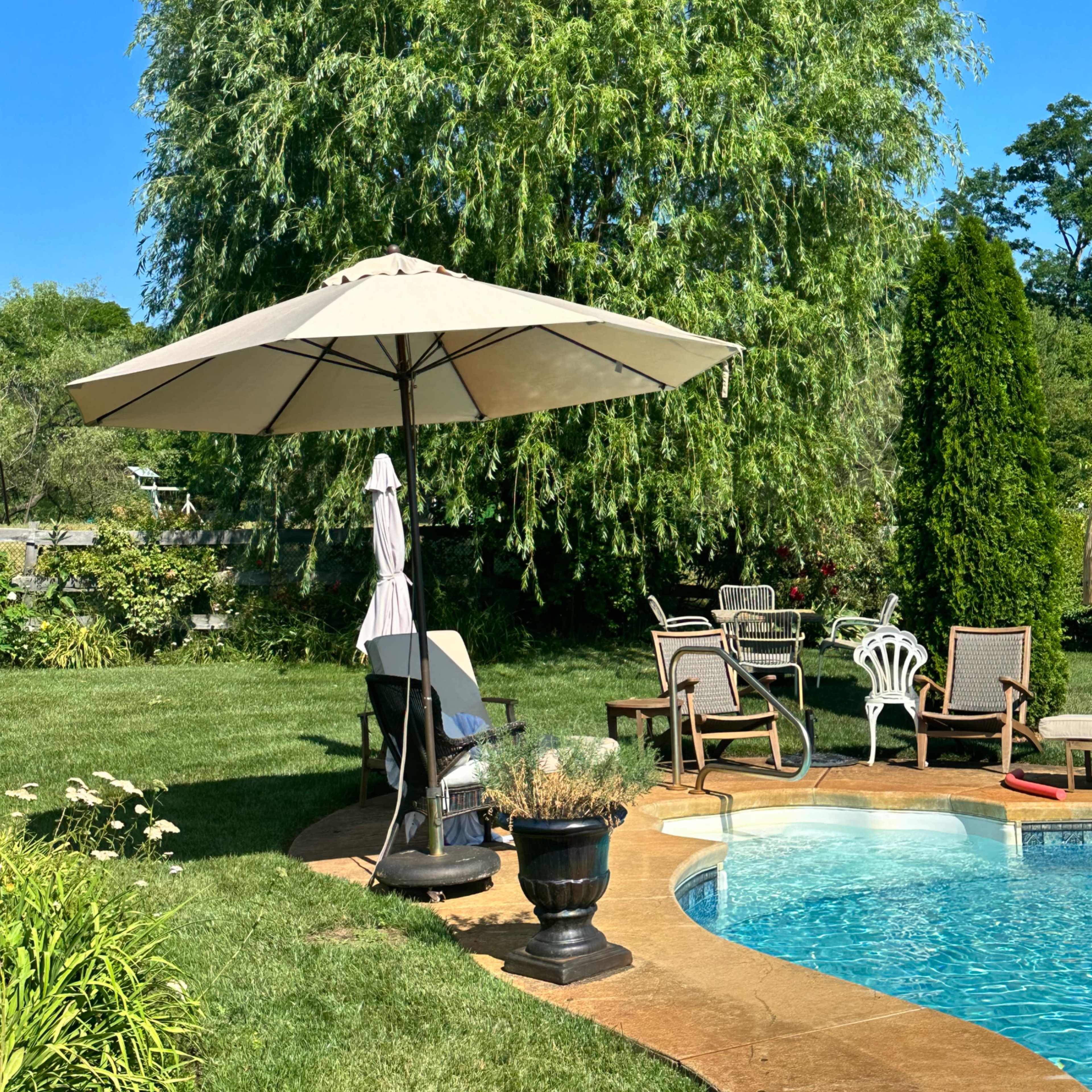 A patio area with a swimming pool, surrounded by lounge chairs and an umbrella, is shaded by a large tree in a well-maintained backyard.