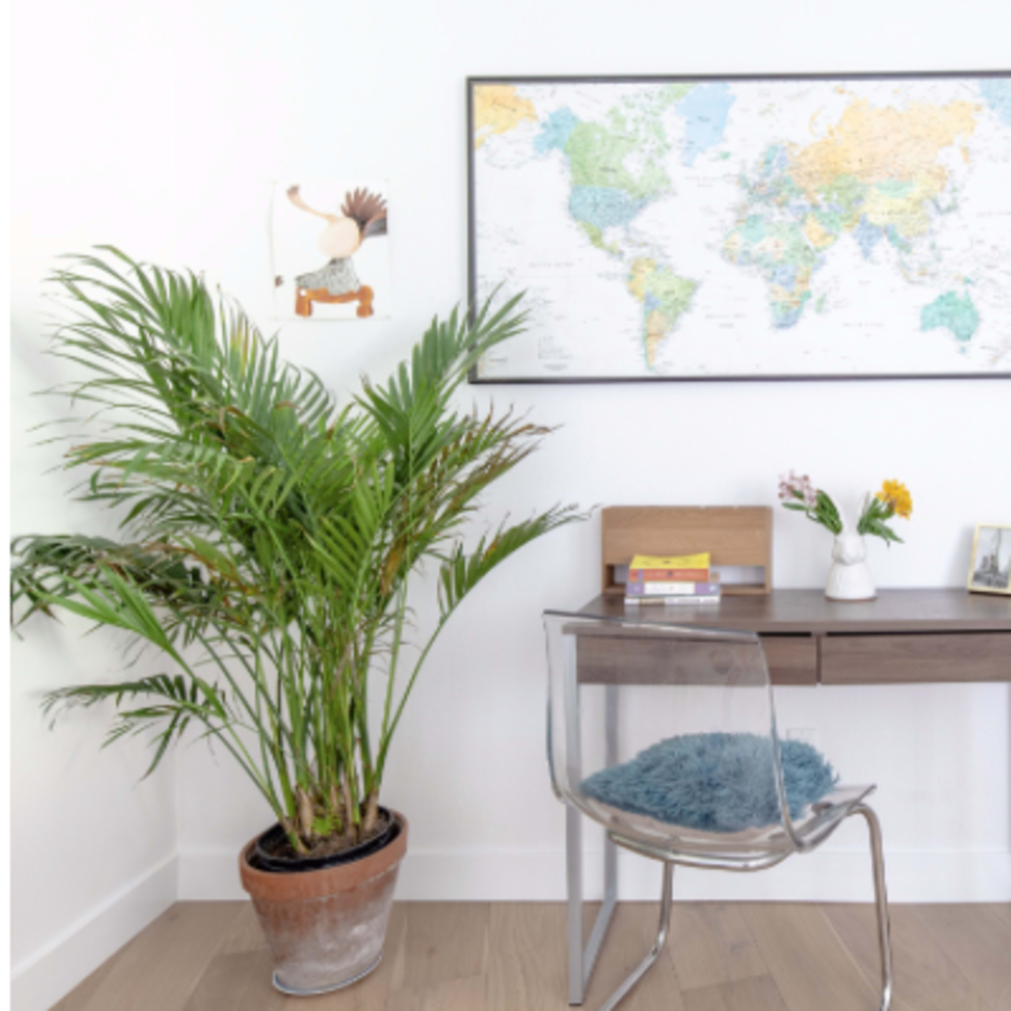 A small workspace features a wooden desk with a clear chair, a potted plant, a world map on the wall, and colorful wall art.
