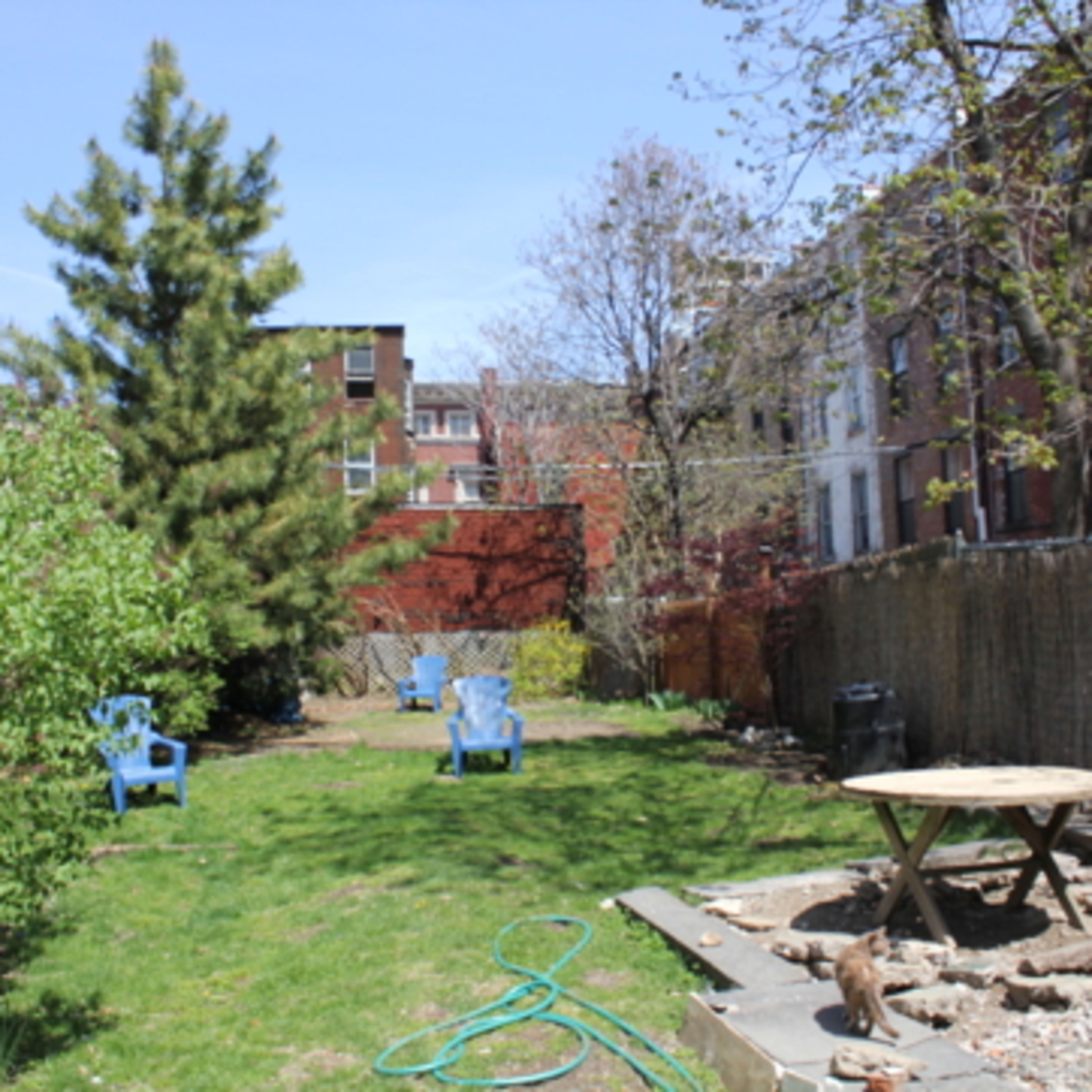 A grassy yard with blue adirondack chairs, a wooden table, and trees behind residential buildings.