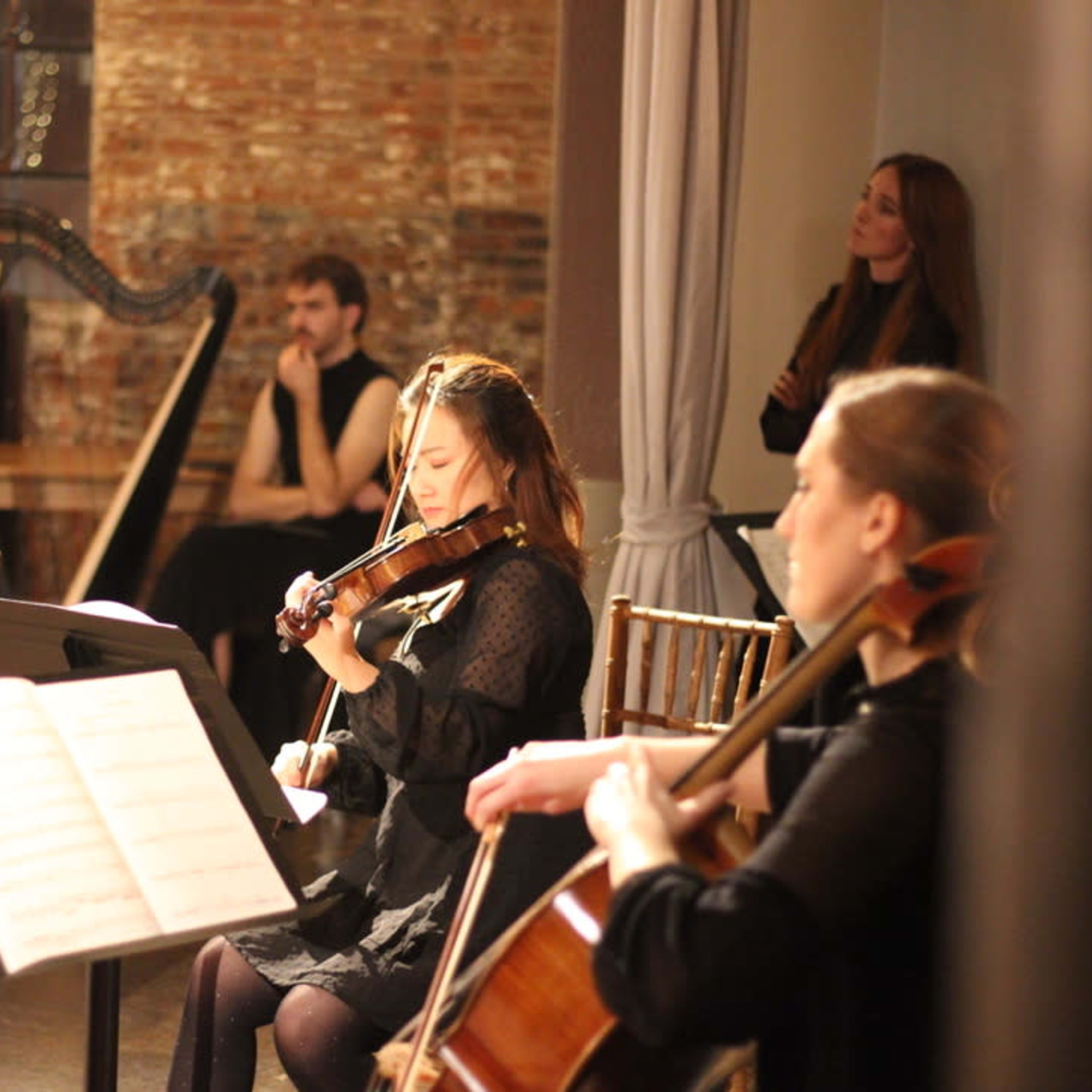 A group of musicians performs together in a dimly lit room, with a harp and various string instruments visible.