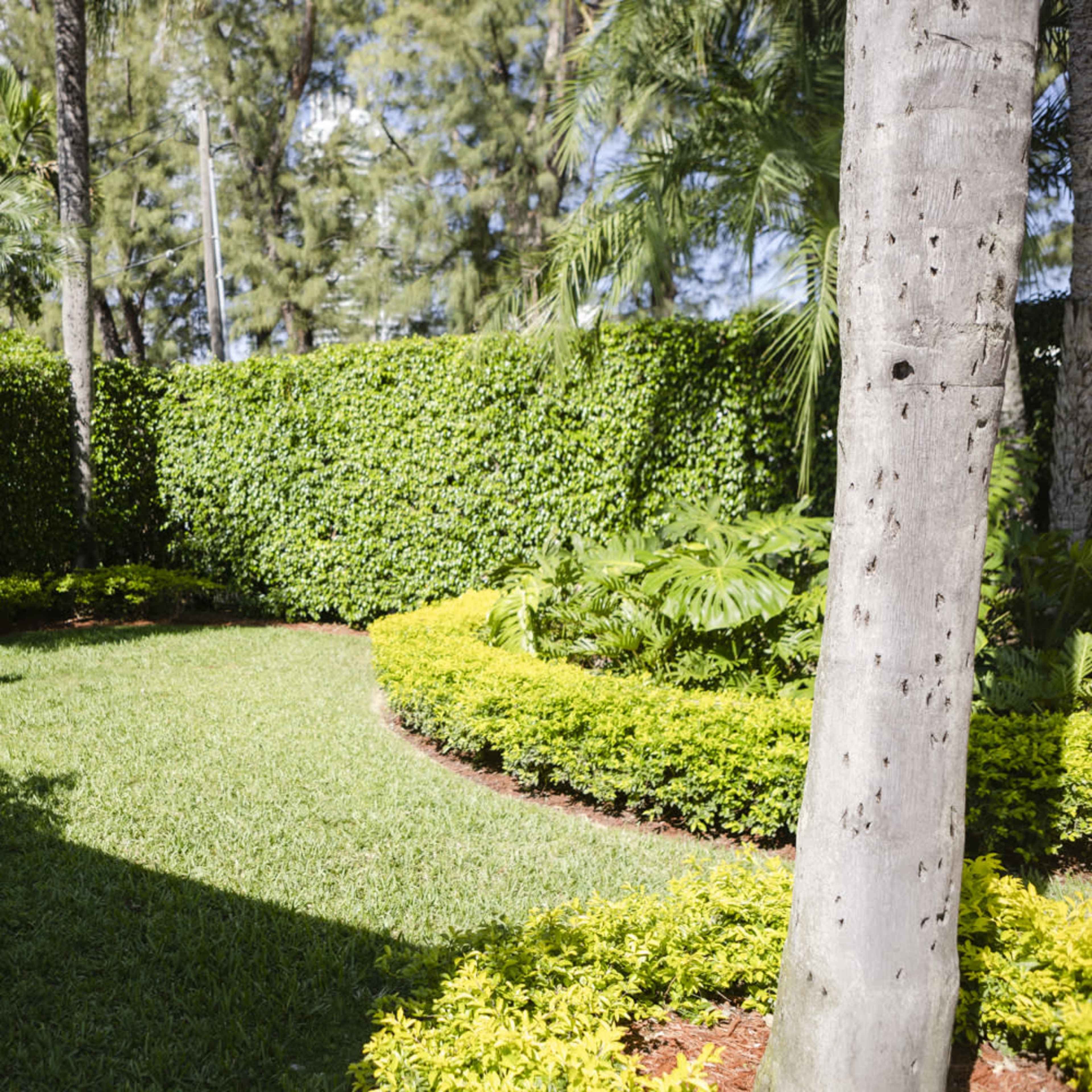 A neatly landscaped garden featuring curved paths, green hedges, and tropical plants.
