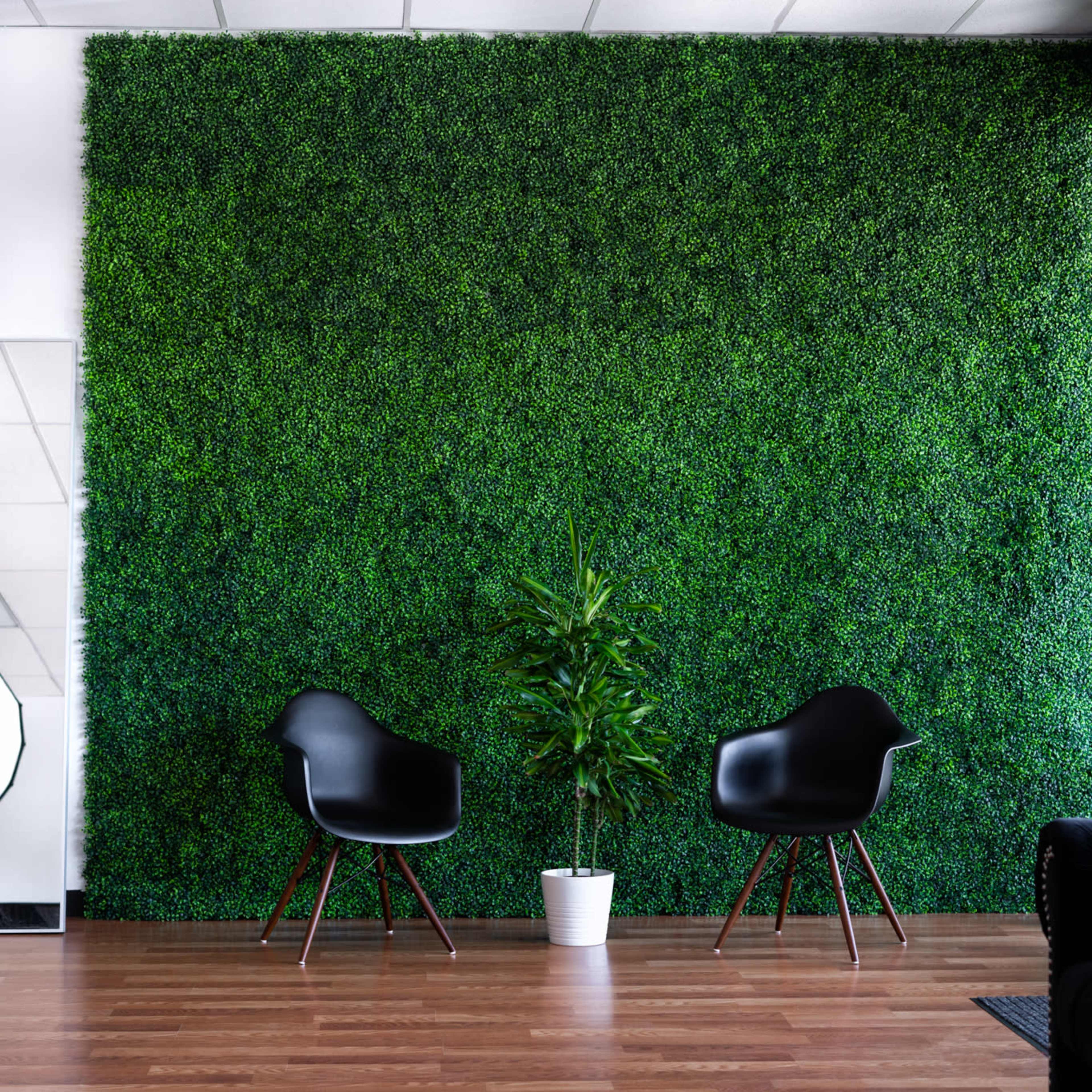 A modern interior with a green plant wall, two black chairs, a potted plant, and a mirror.