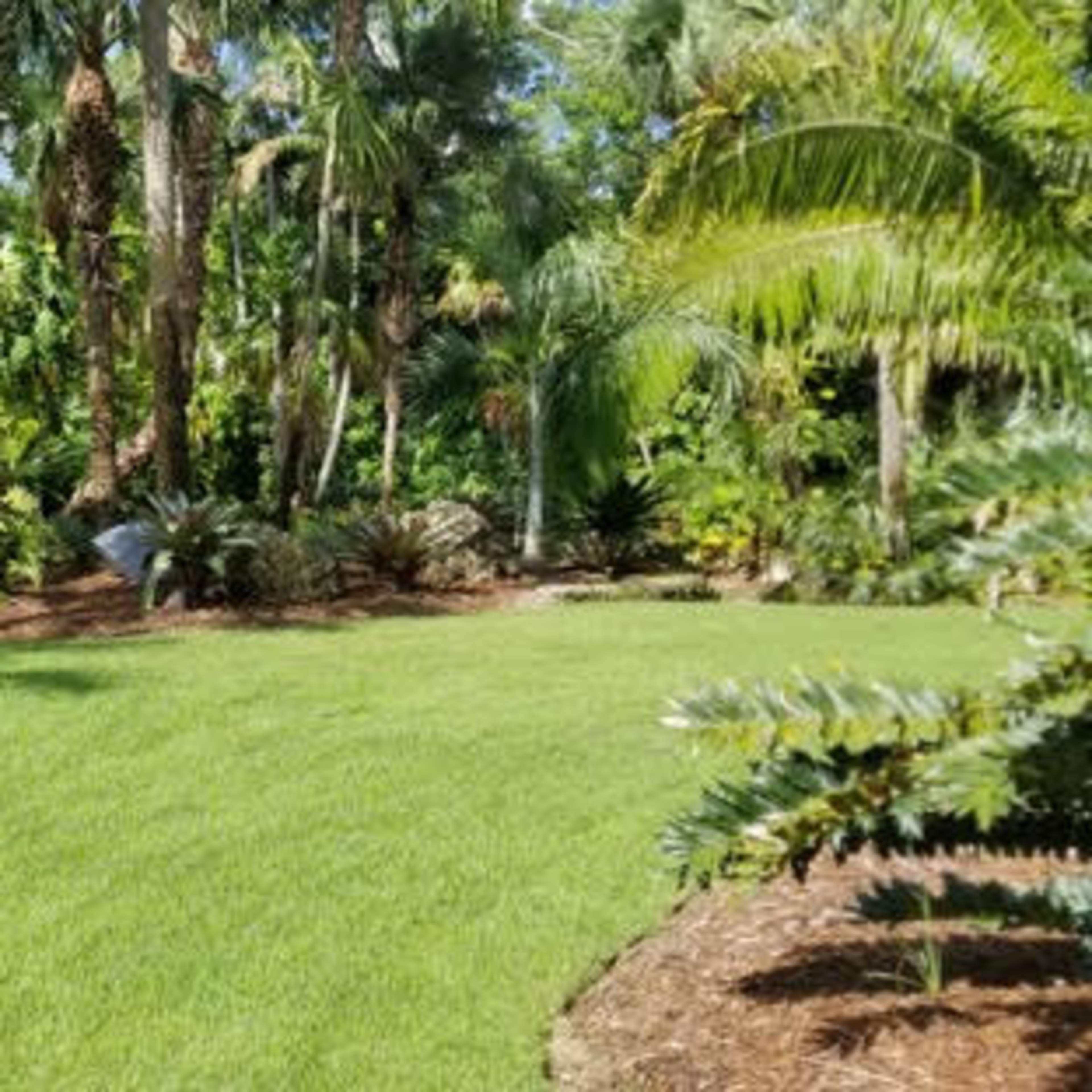 A landscaped garden with lush greenery, including palm trees and shrubs, set on a grassy area.