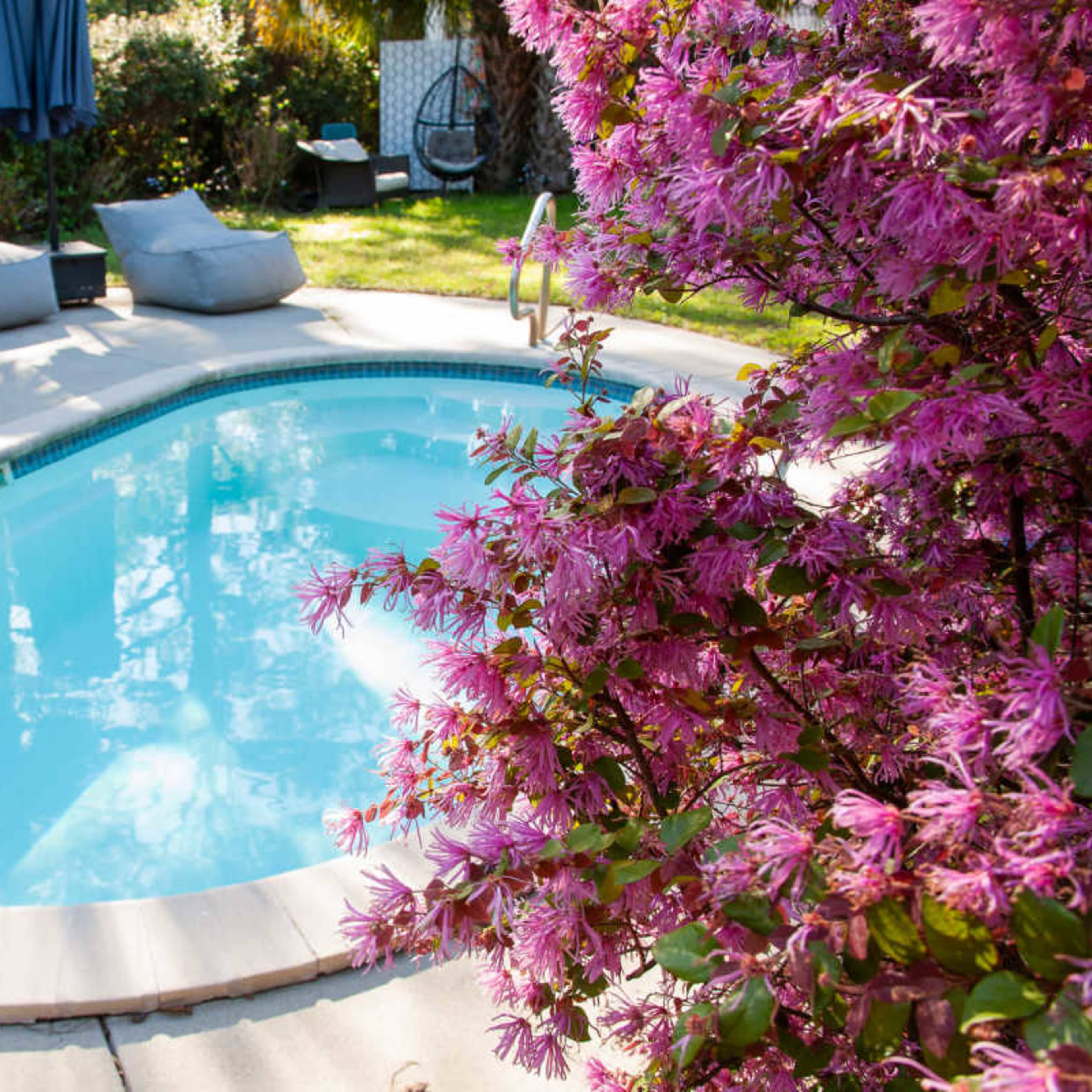Savannah Midtown Meeting Home with Backyard Oasis & Cocktail Pool Image in Chatham Crescent, Savannah, GA