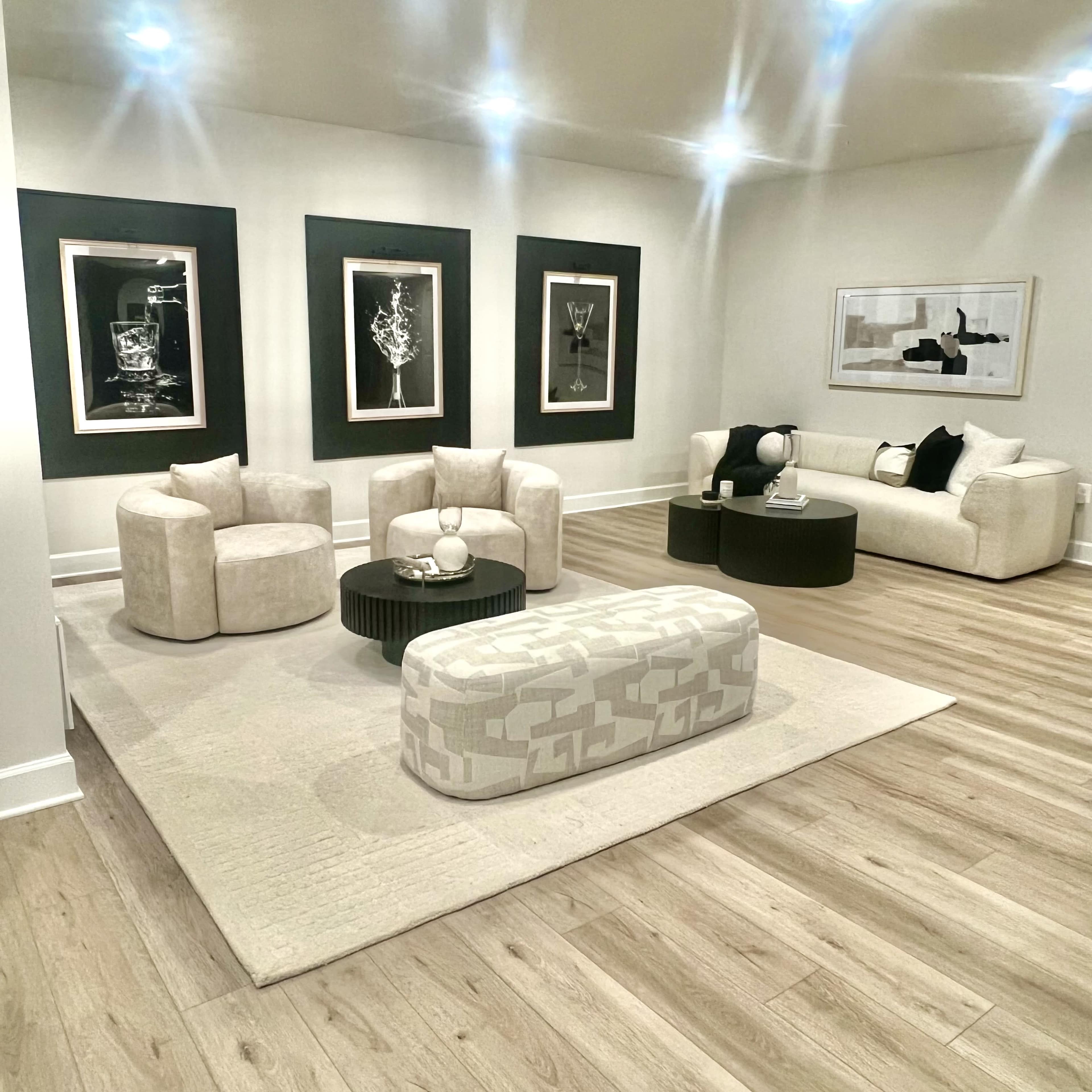 Modern Luxury Basement Lounge with Sleek Wine Room Image in Greater Upper Marlboro, Bowie, MD