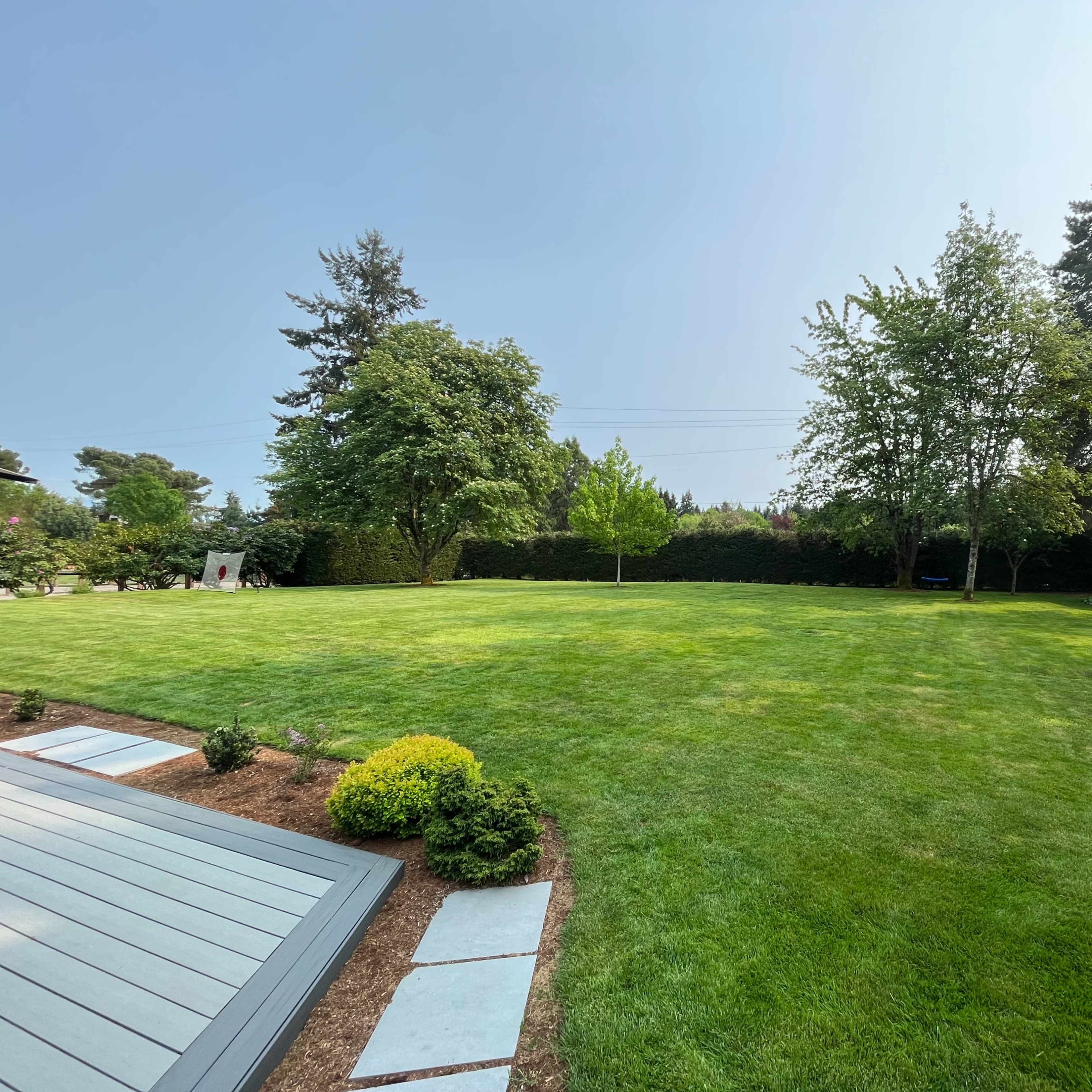 A well-maintained green lawn surrounded by trees and a garden shed in the background.