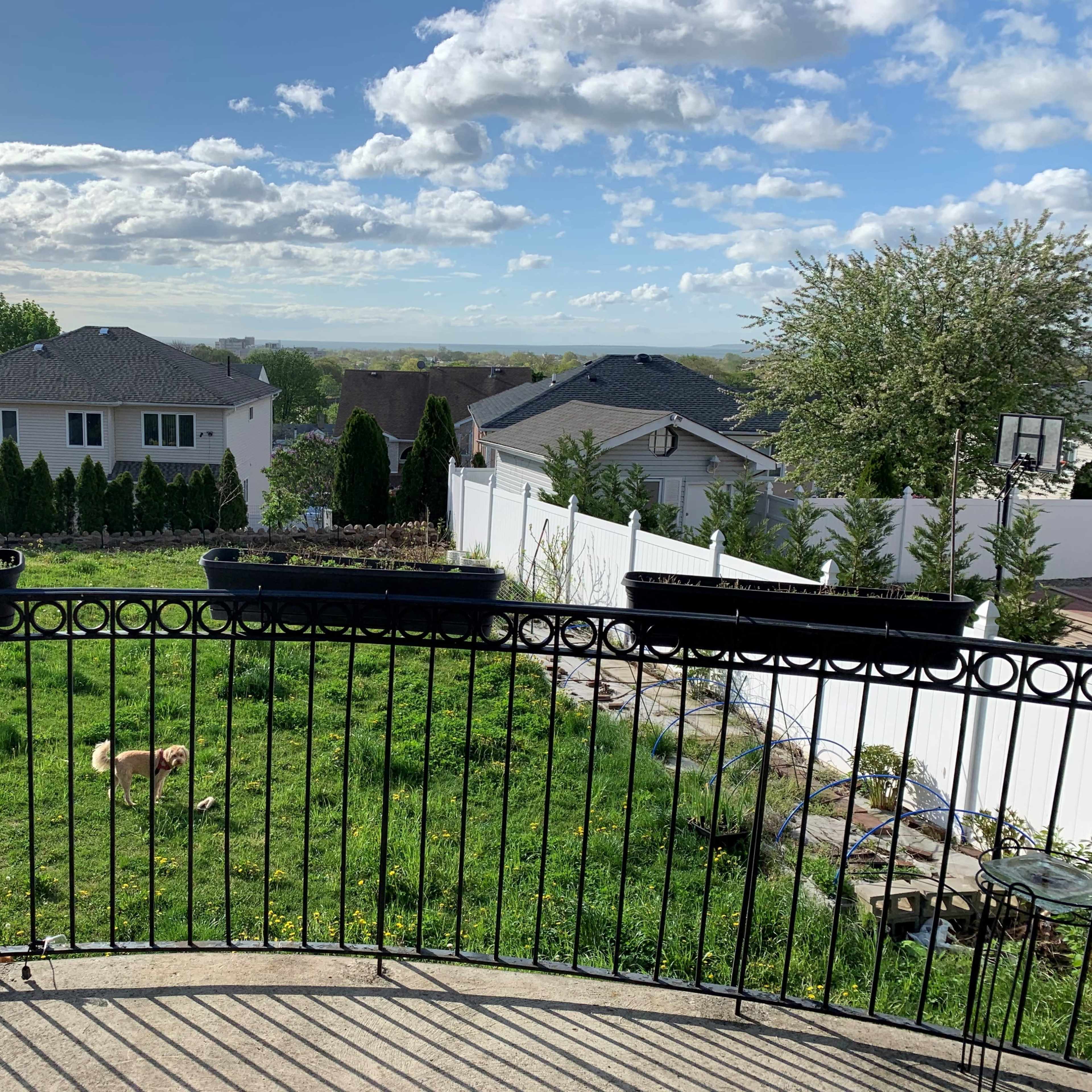 A view from a balcony overlooking a grassy yard with a small dog and several houses in the background under a partly cloudy sky.