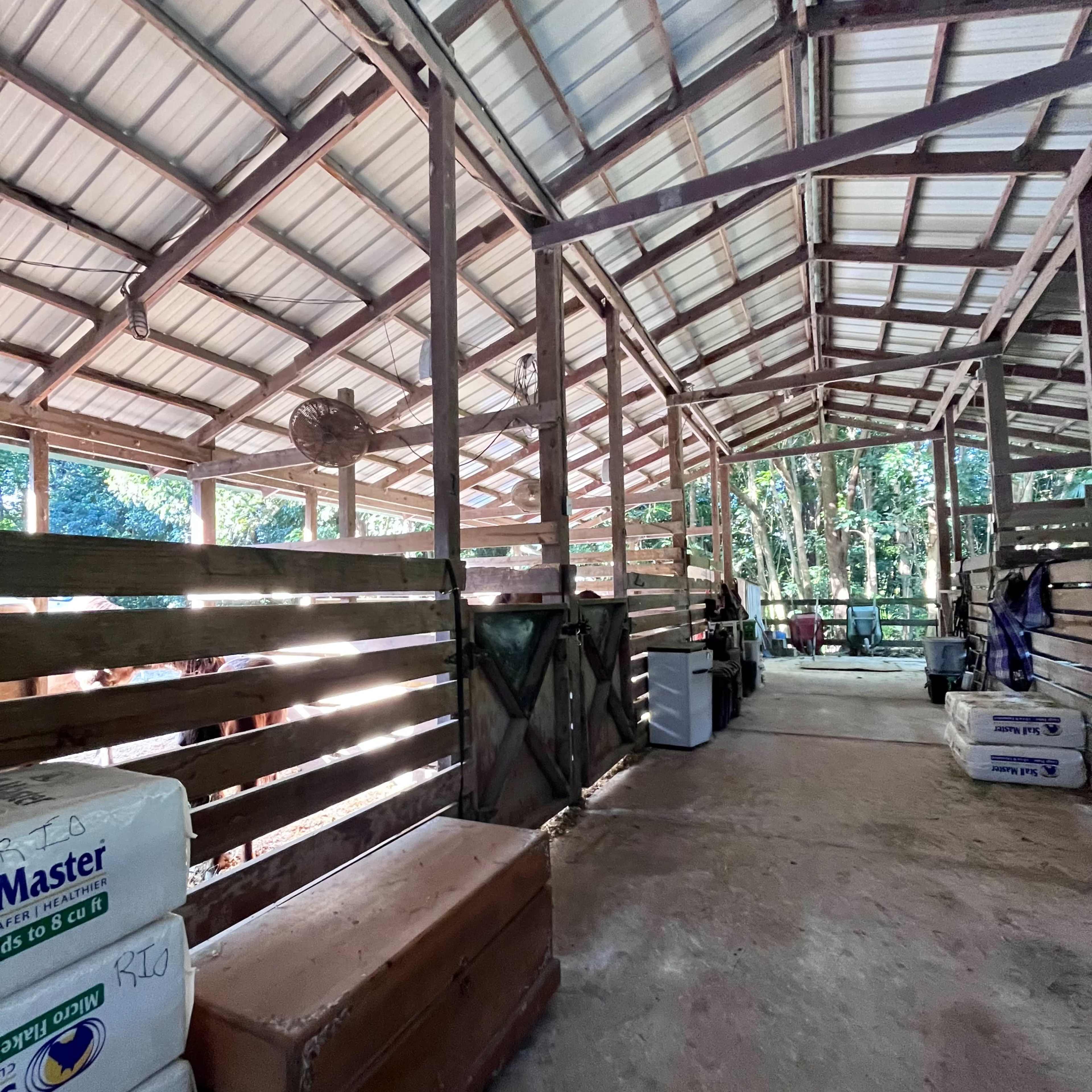 Rustic Barn with Horses Onsite Image in Davie, Davie, FL