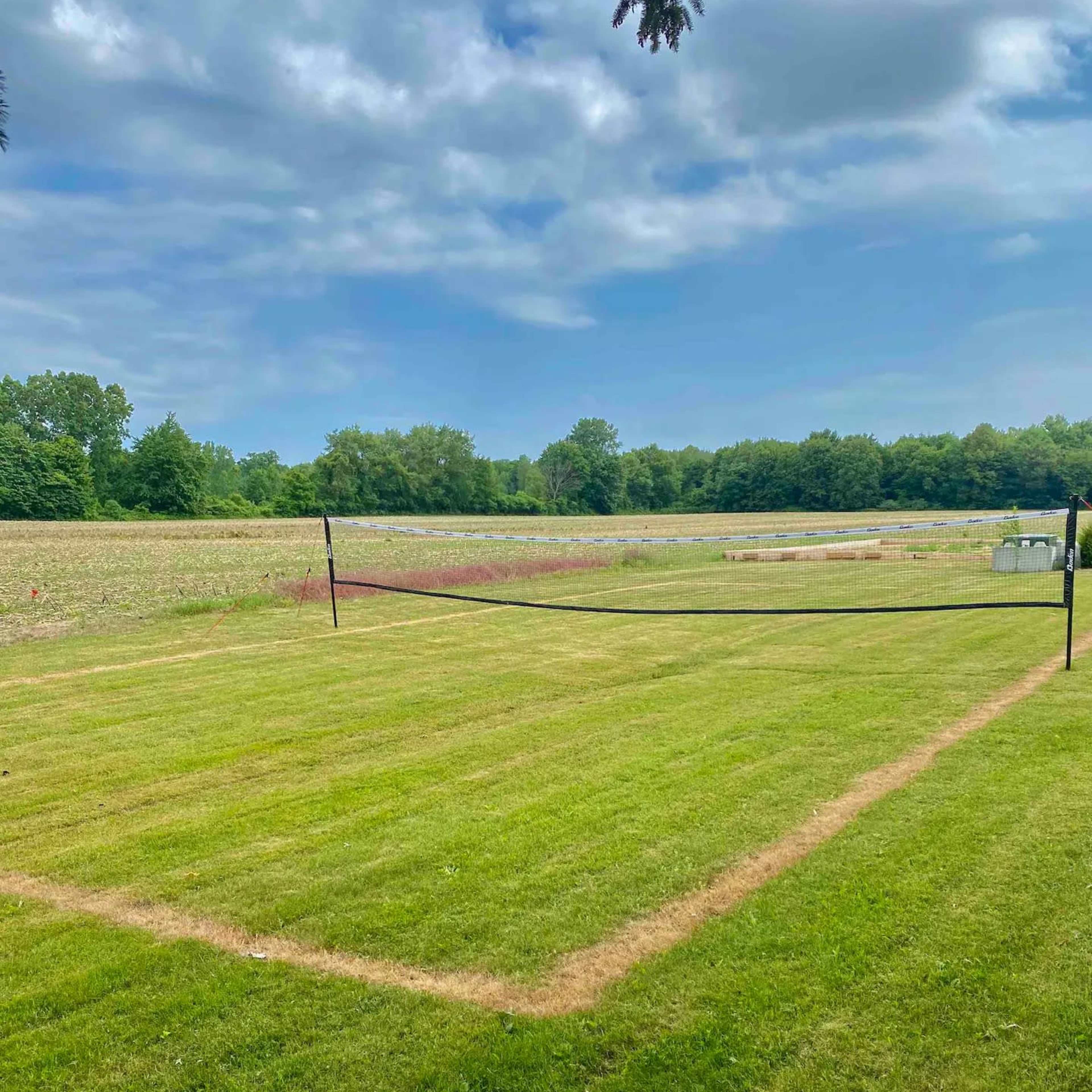 A grassy field with a volleyball net set up in the foreground and a tree line in the background.