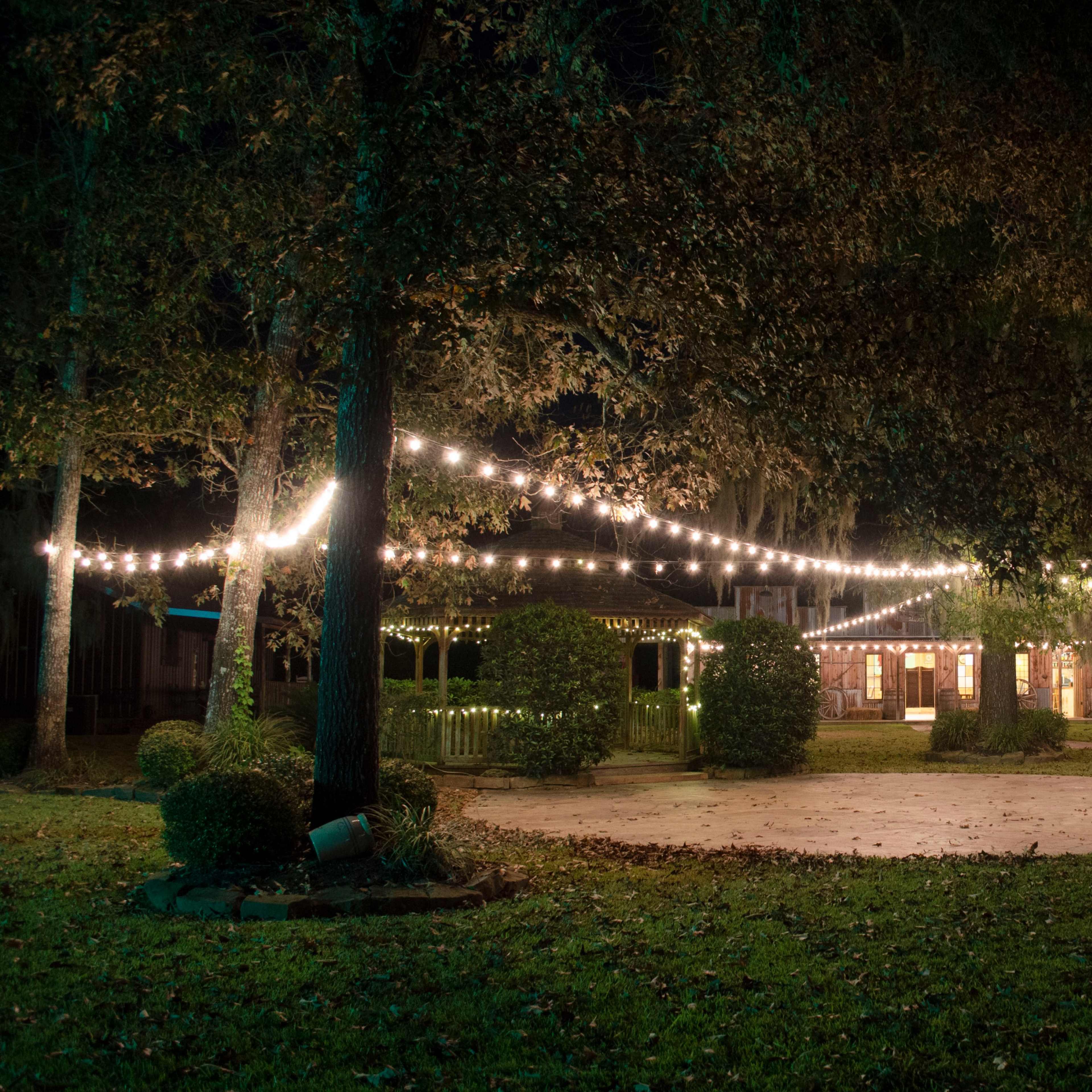 A backyard is illuminated by string lights hanging between trees, with a wooden structure visible in the background.