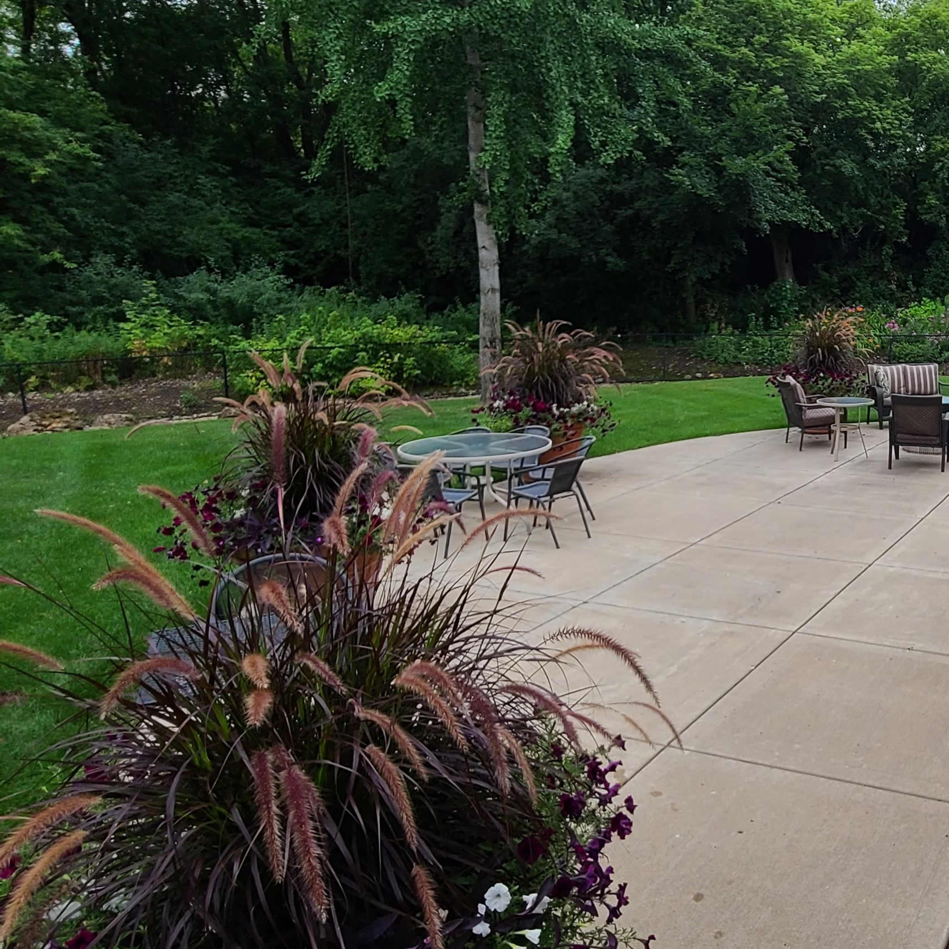 A spacious patio surrounded by landscaping with lush greenery and flowering plants.