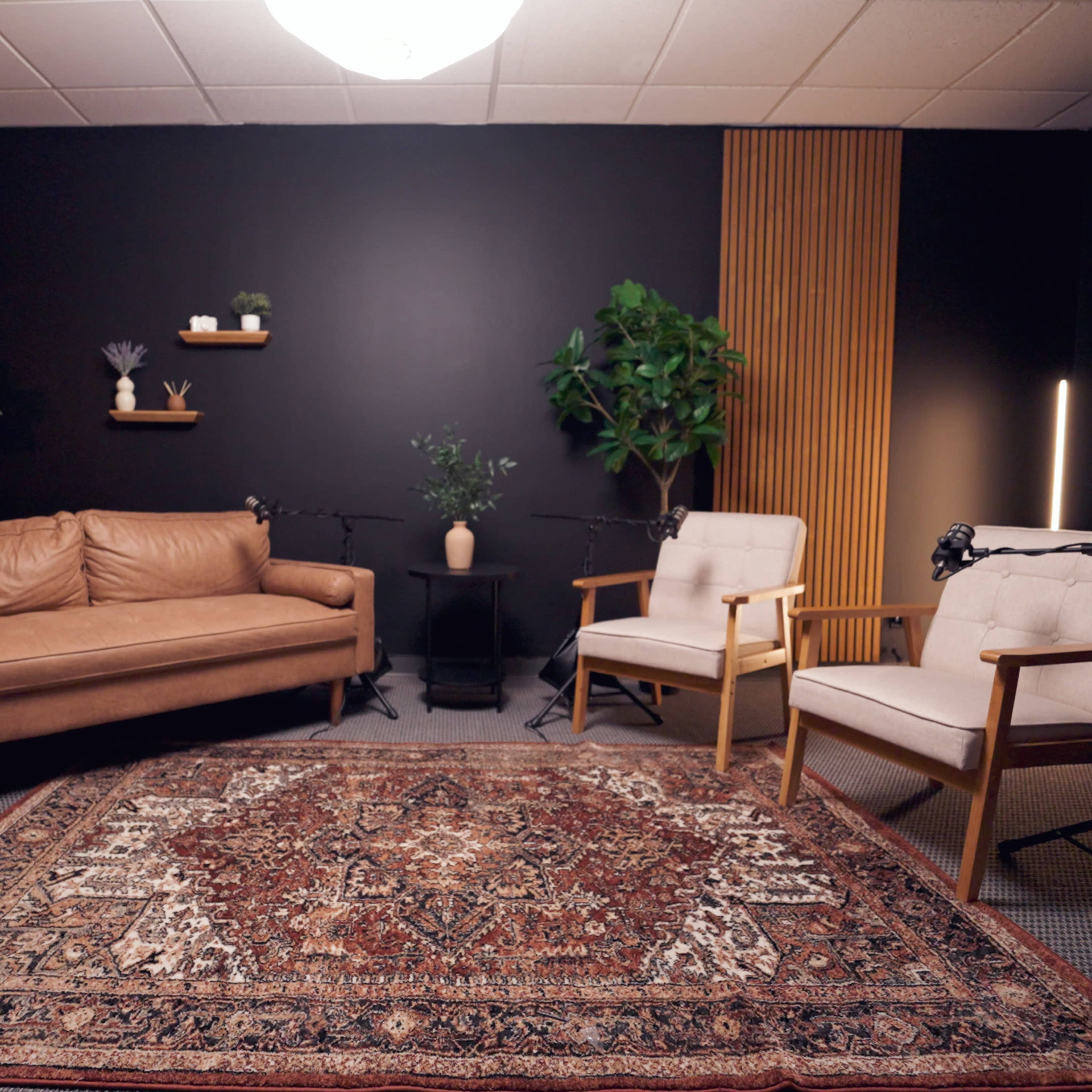 Mid-century Modern Podcast Studio Image in Milton Township, Wheaton, IL