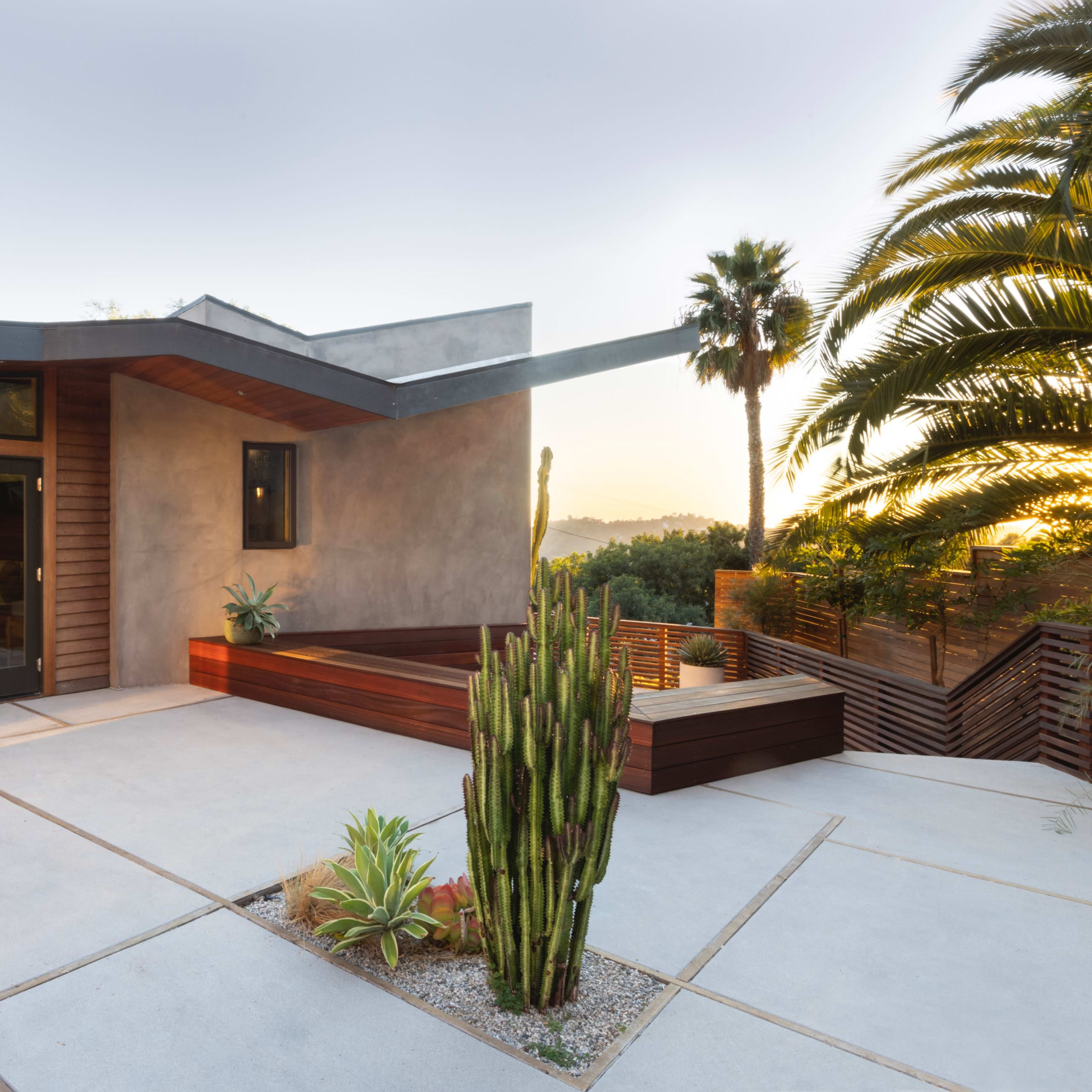 A modern single-story house features concrete pathways, large windows, and landscaped areas with plants and a cactus.