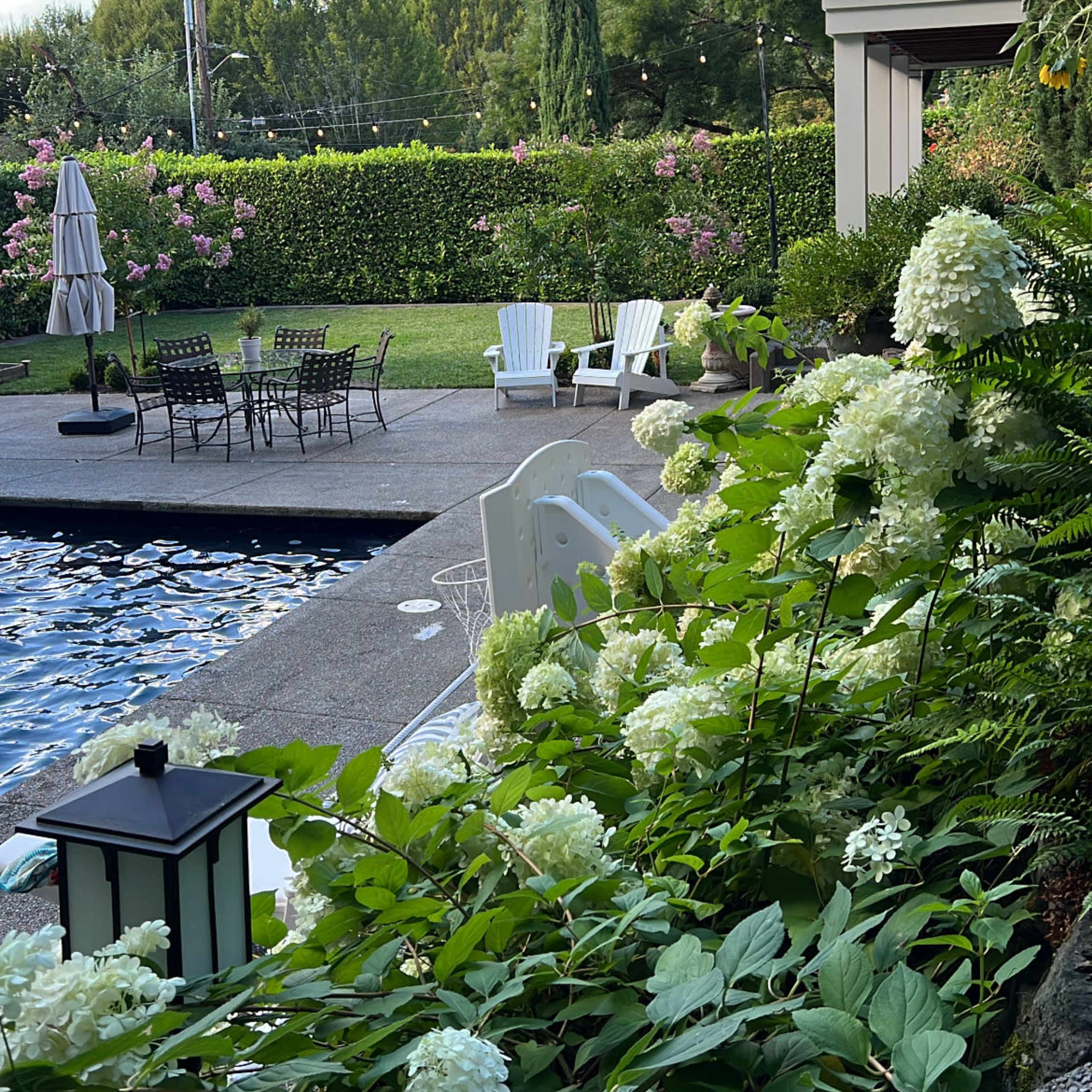 Reed College Home with views Image in Southeast Portland, Portland, OR