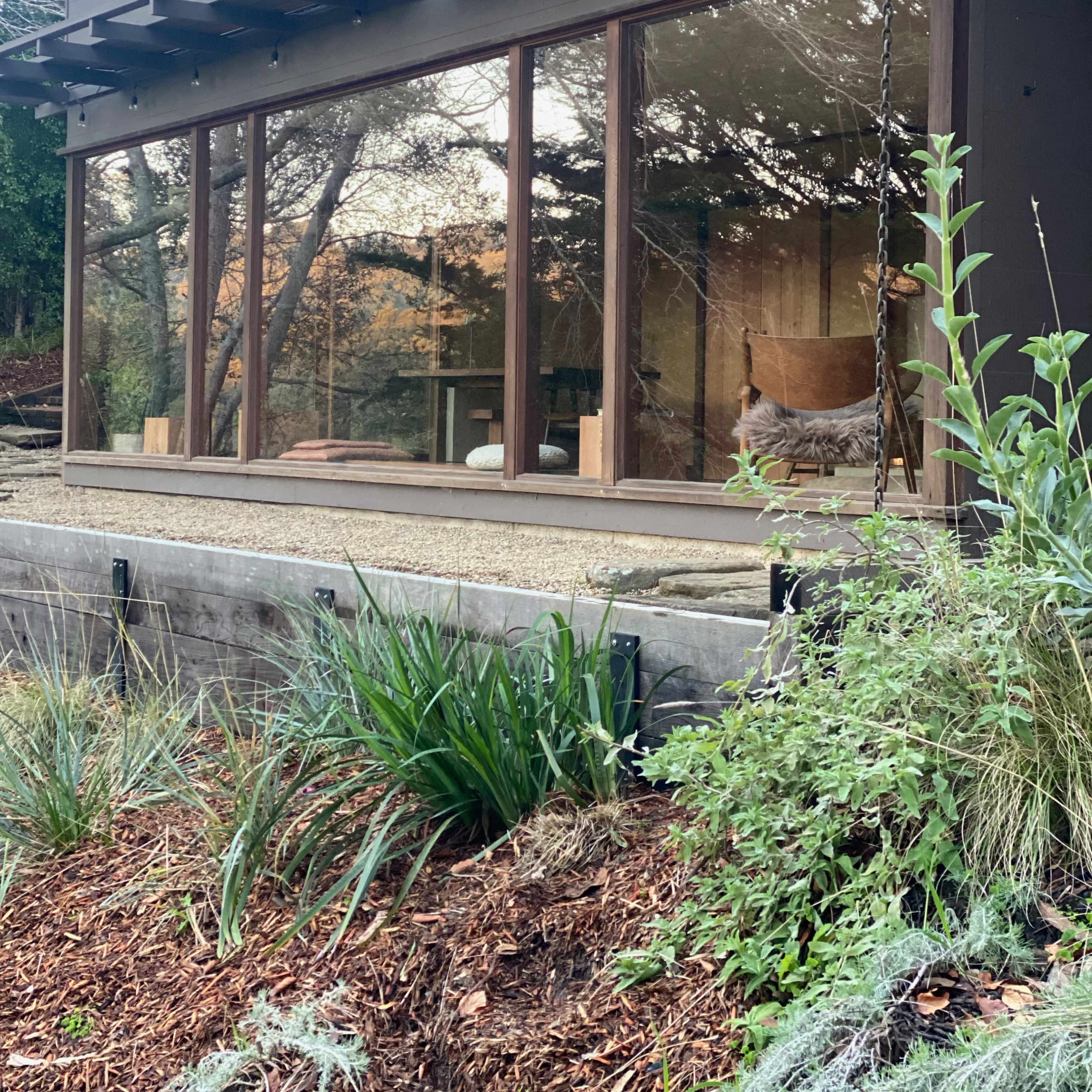 A modern house with large windows overlooks a landscaped garden featuring plants and mulch.
