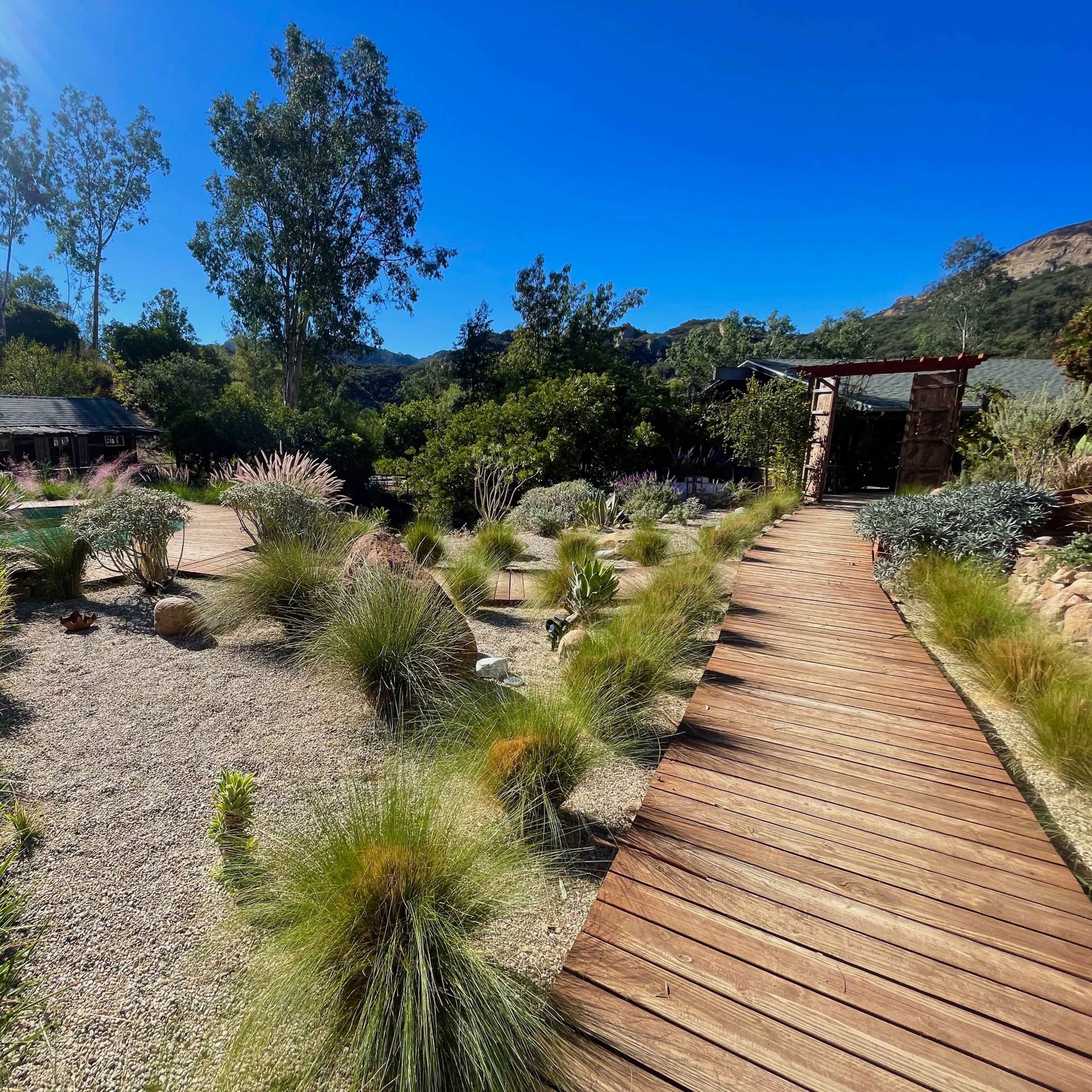 A wooden path winds through a landscaped garden featuring various plants and rock features, leading to a shaded area in the background.