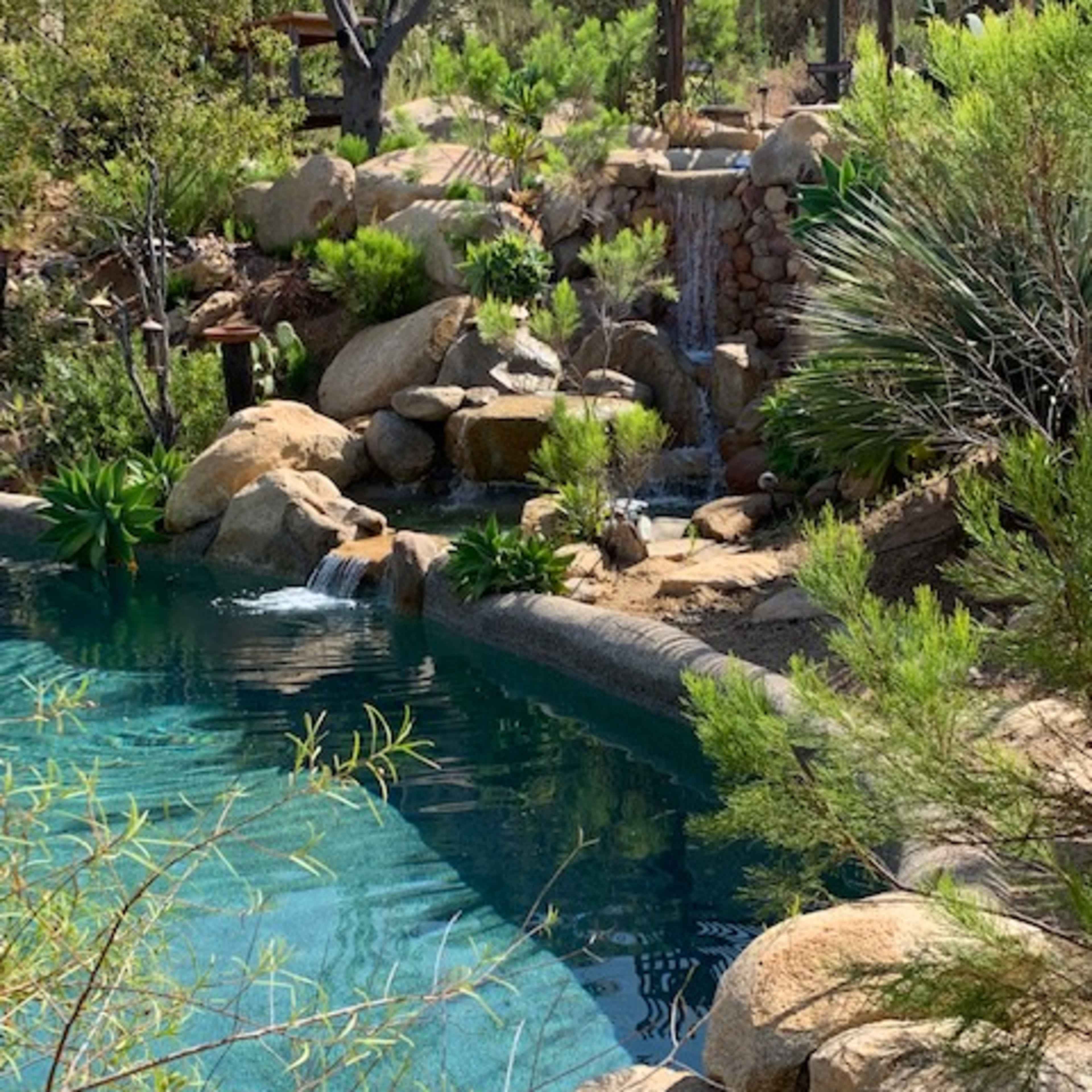 A landscaped pool area featuring a waterfall, rocks, and surrounding greenery.