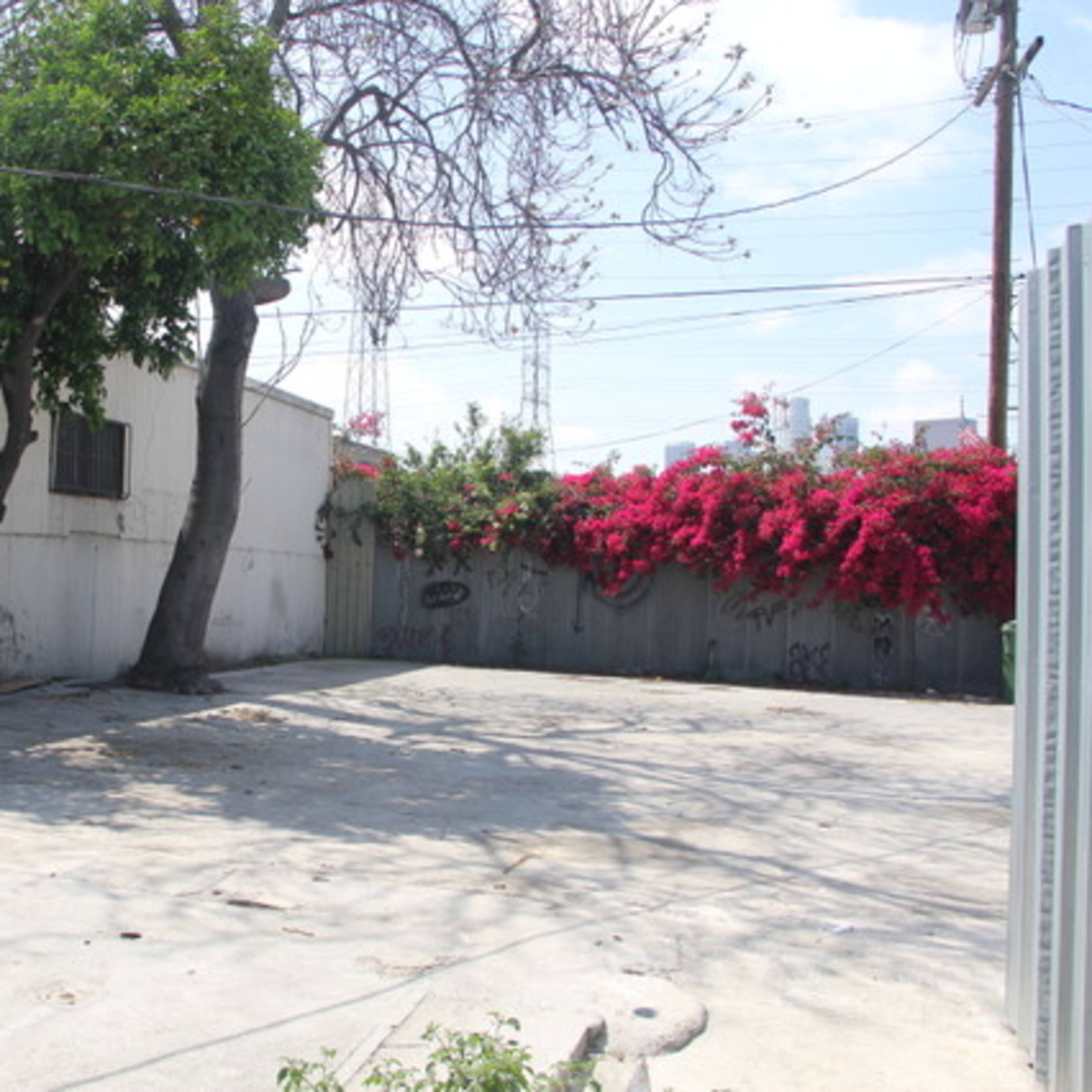 A vacant concrete lot with a low wall covered in flowering plants, alongside a building and a couple of trees.