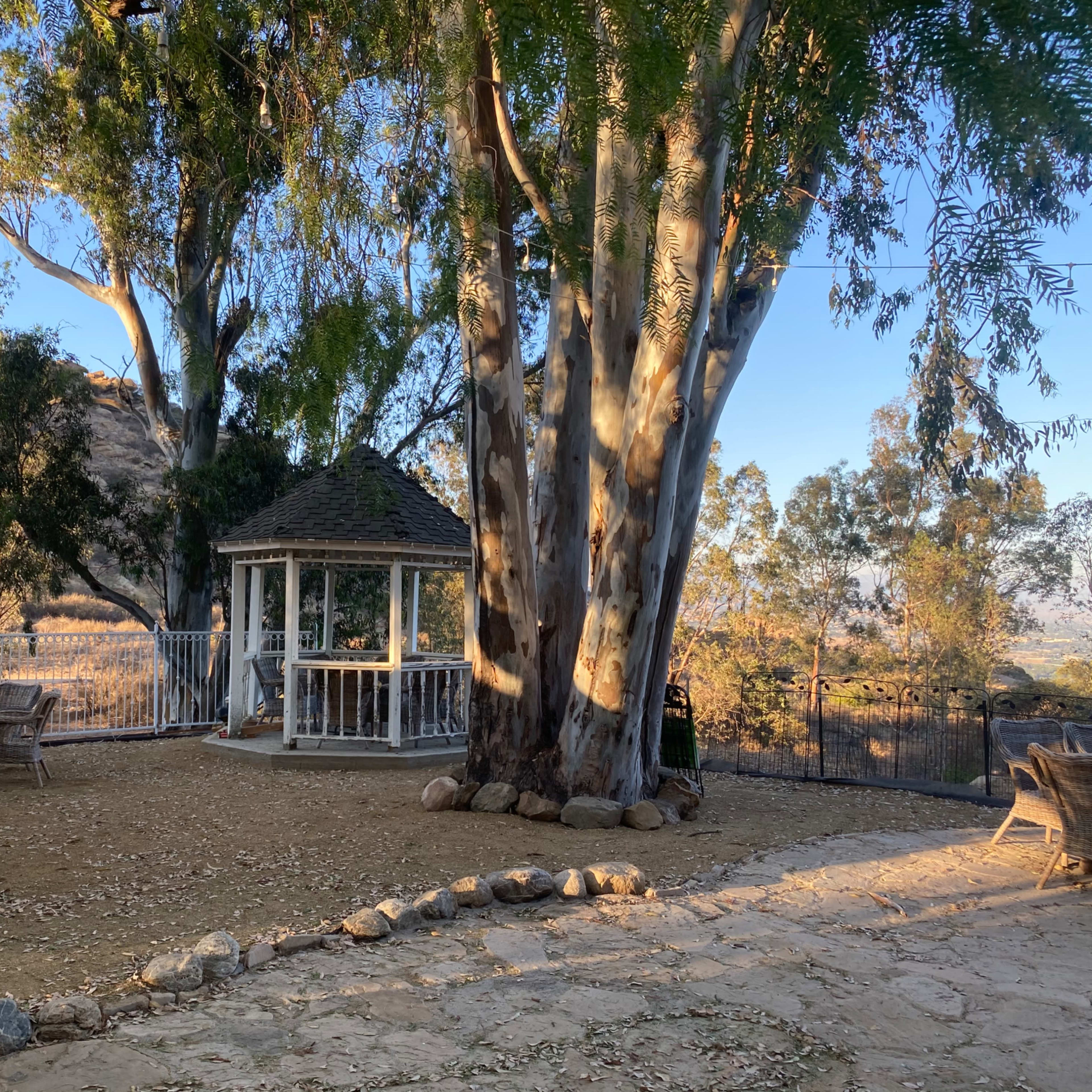 A gazebo is surrounded by large trees and a rocky pathway in a landscaped outdoor area.