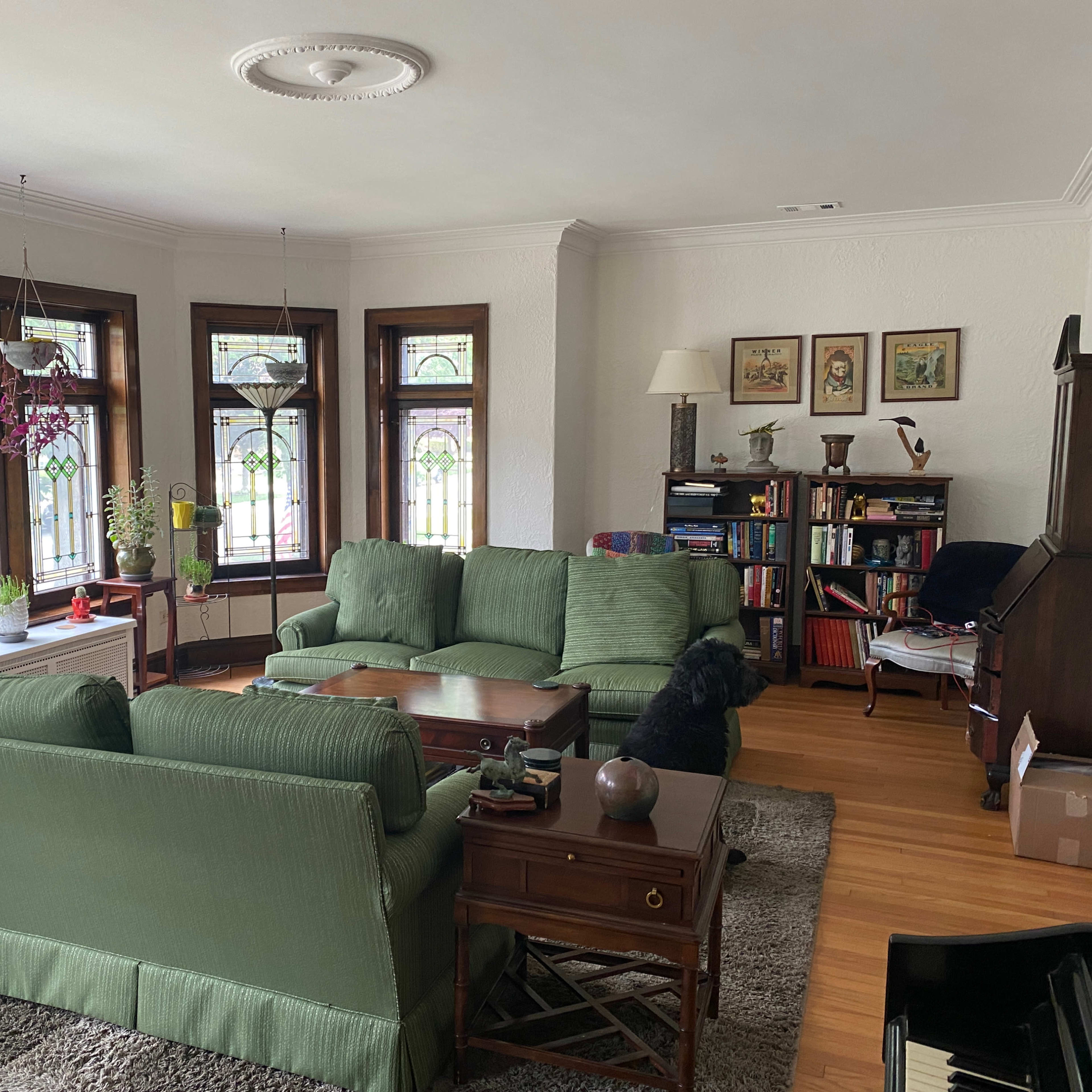 A cozy living room featuring green sofas, a wooden coffee table, a bookshelf, and large windows adorned with decorative glass.