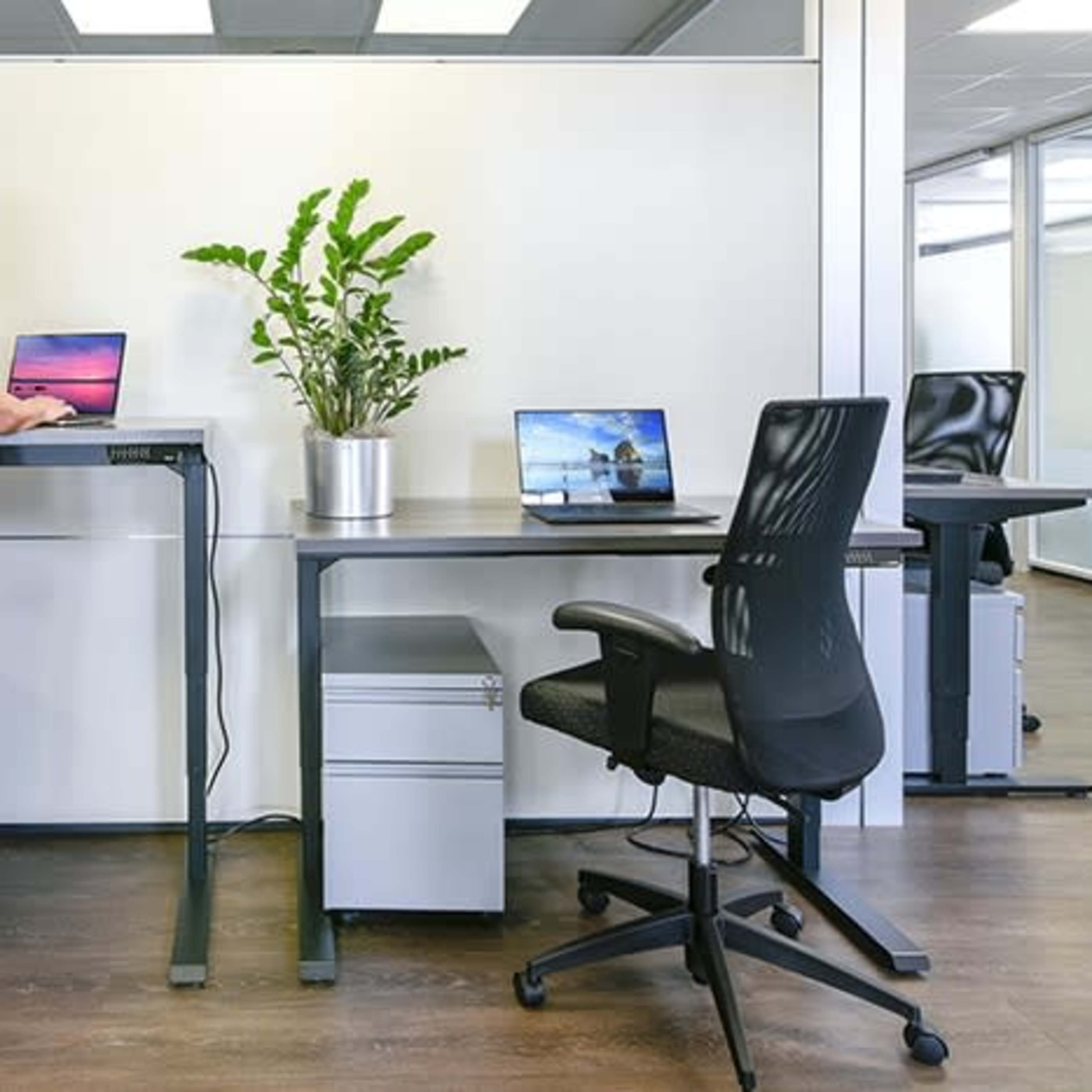 A woman stands at a standing desk, working on a laptop, with additional laptops on nearby desks and a potted plant in the center.