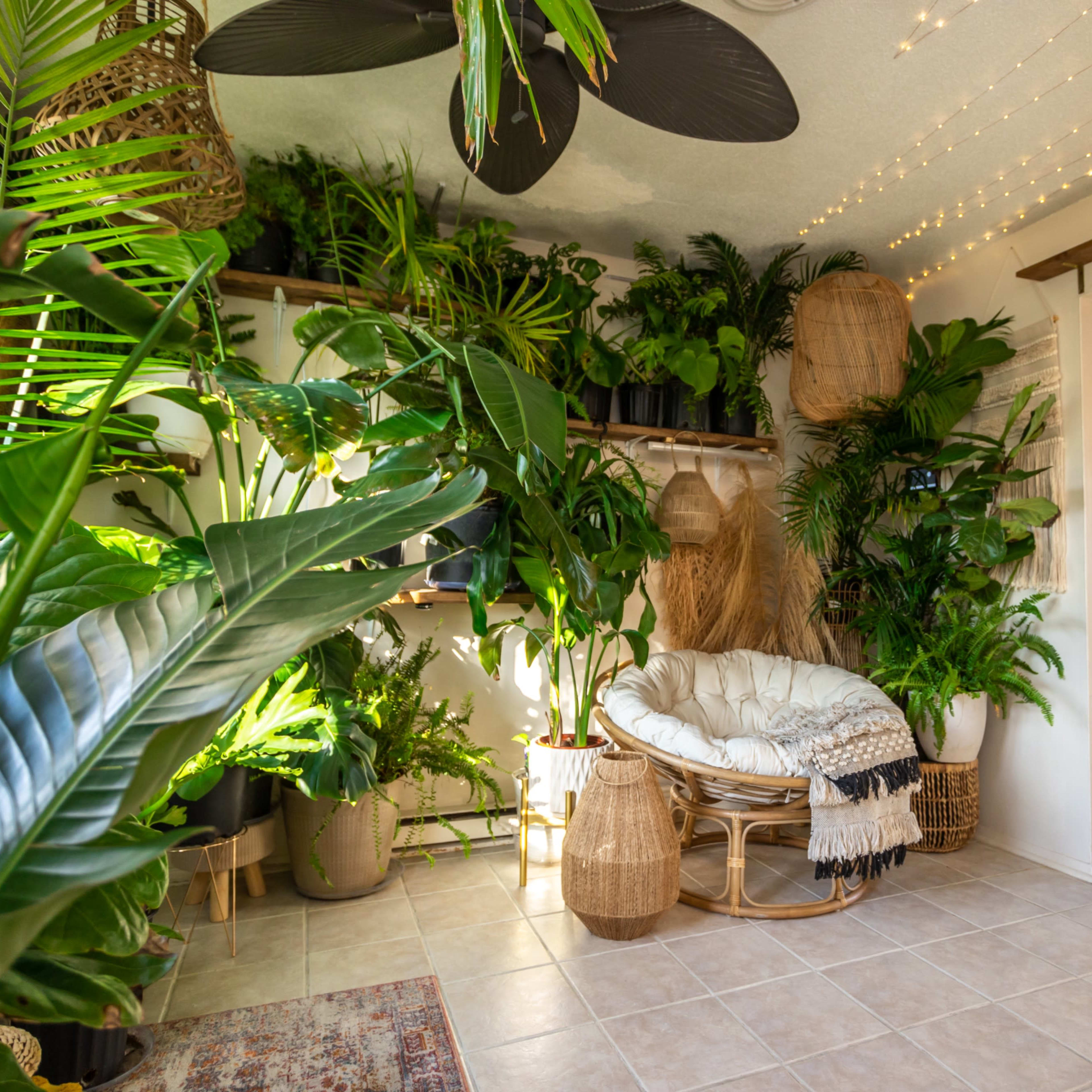 A cozy indoor space filled with various greenery, featuring a rattan chair surrounded by potted plants and adorned with woven baskets and soft textiles.
