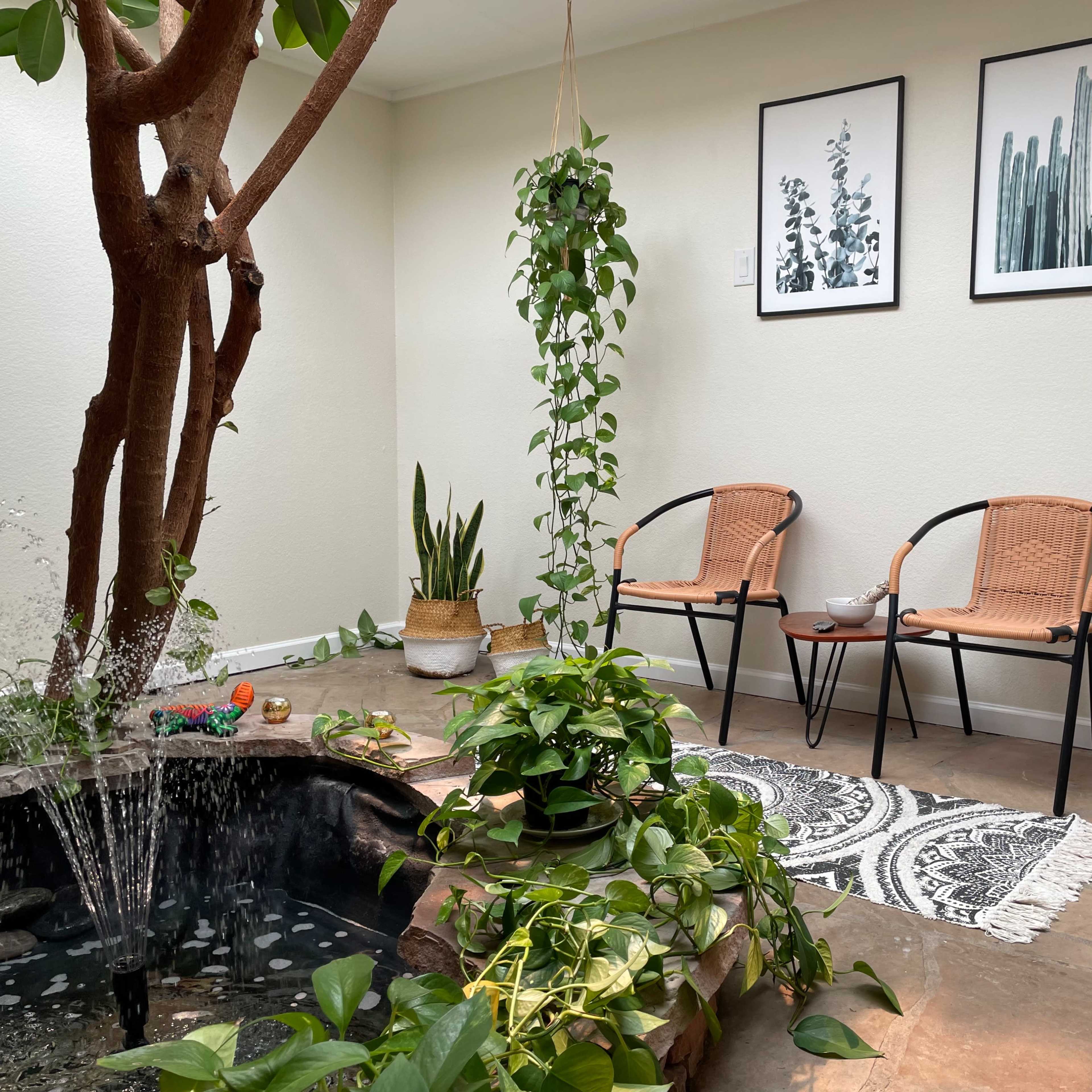 A modern indoor space featuring a small water fountain, potted plants, two woven chairs, and wall art depicting botanical themes.