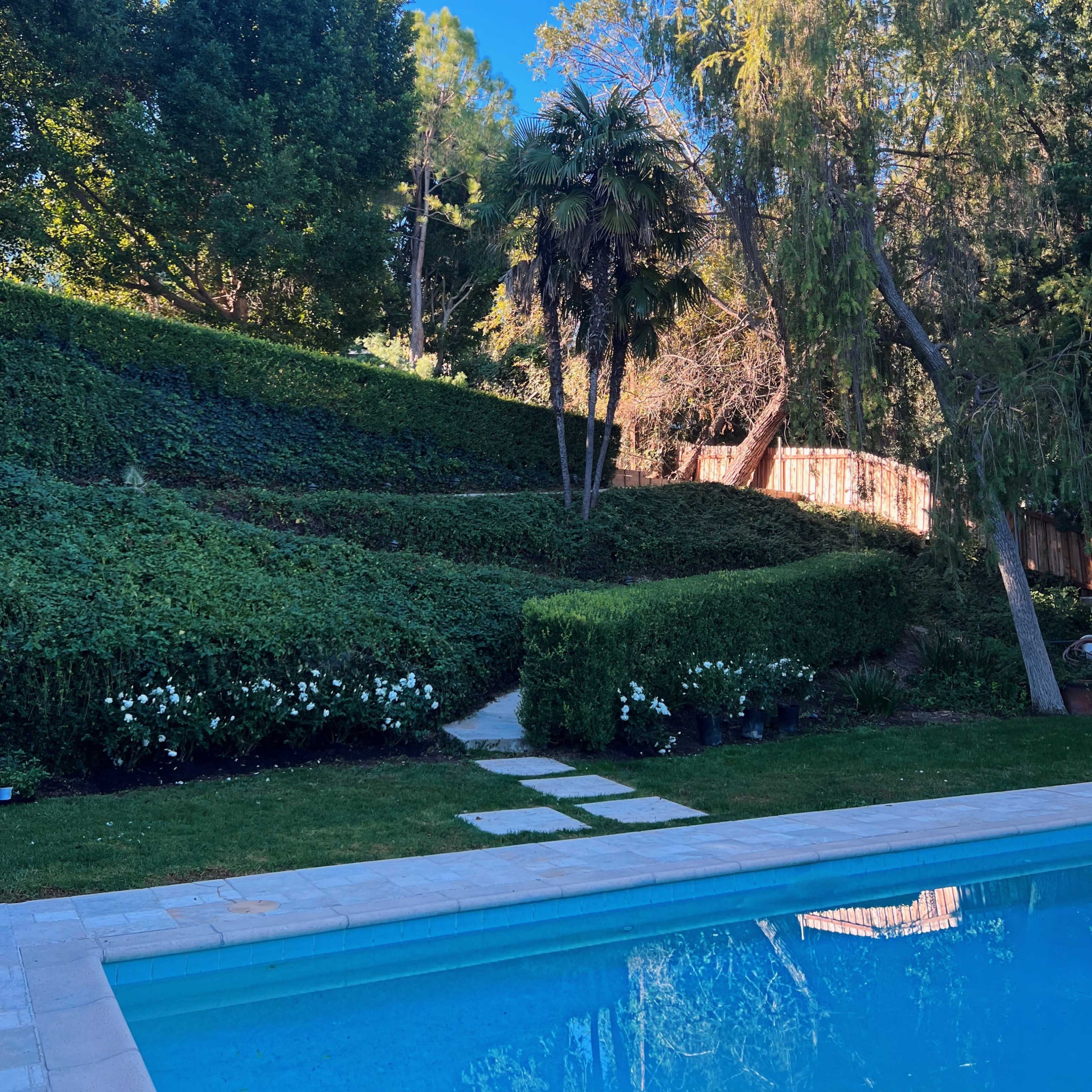 A swimming pool in the foreground with a landscaped yard featuring hedges, trees, and a pathway leading into the greenery.