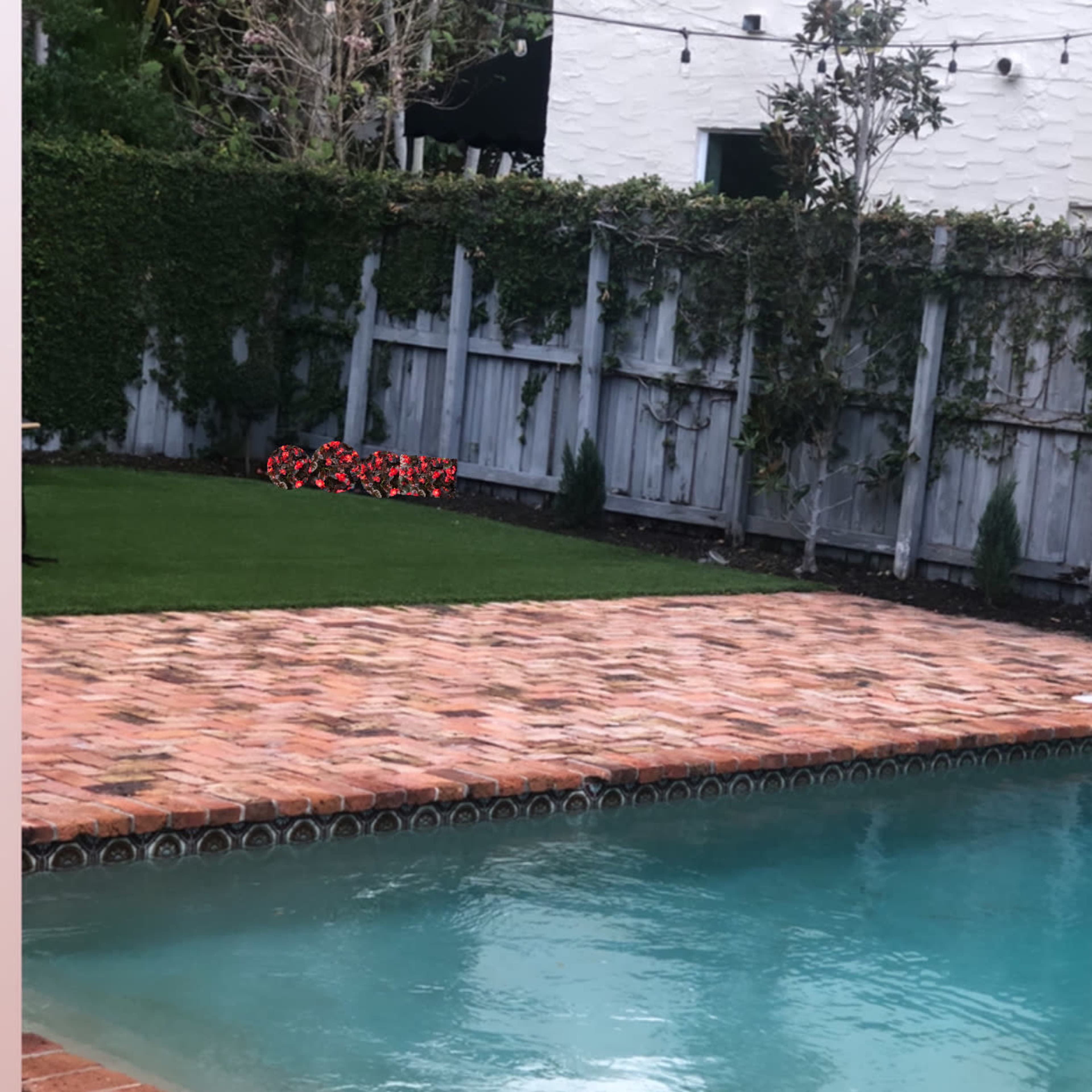 A swimming pool surrounded by a brick patio, with grass and a fence covered in greenery in the background.