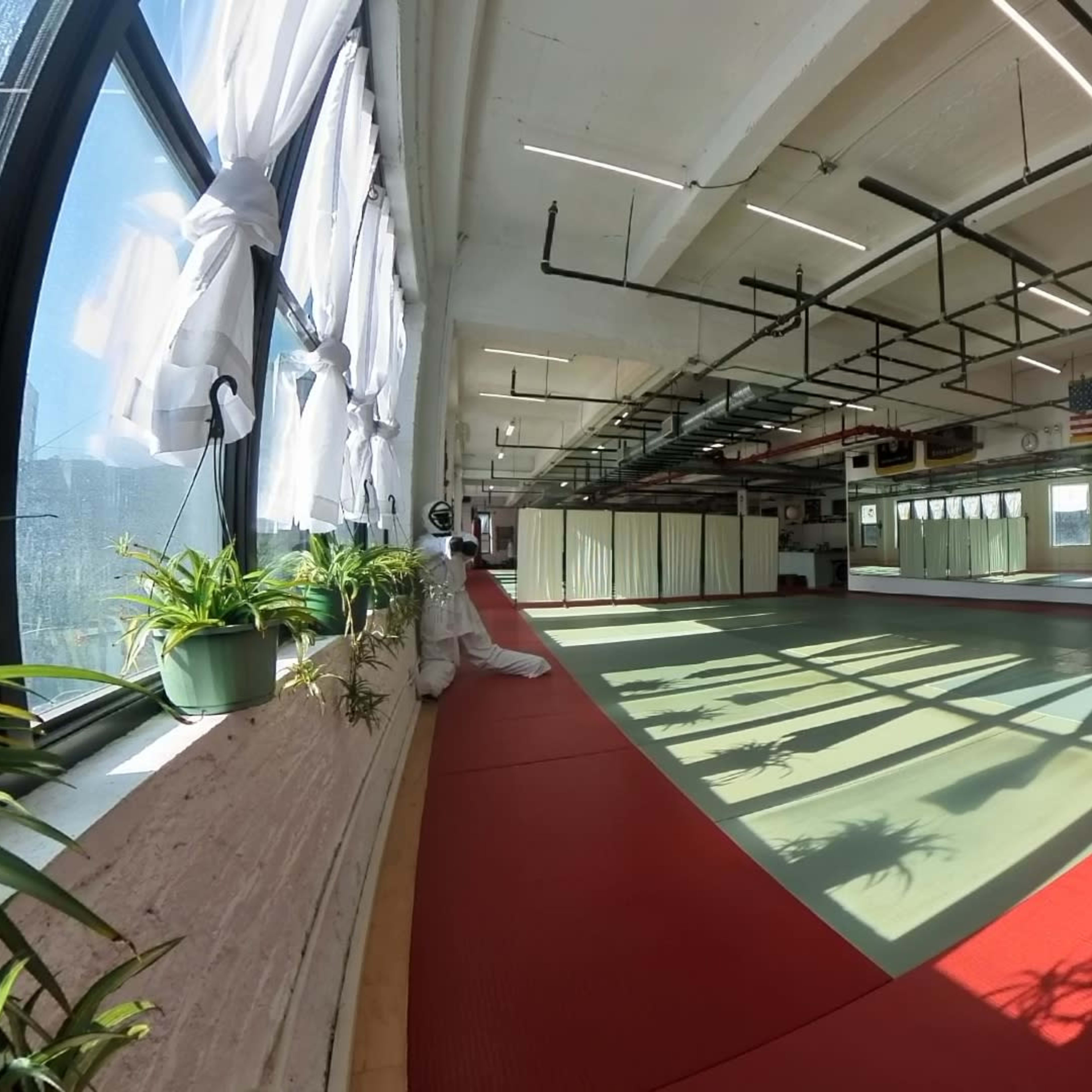 A spacious martial arts studio with red and green mats, large windows allowing natural light, and various training equipment along the walls.