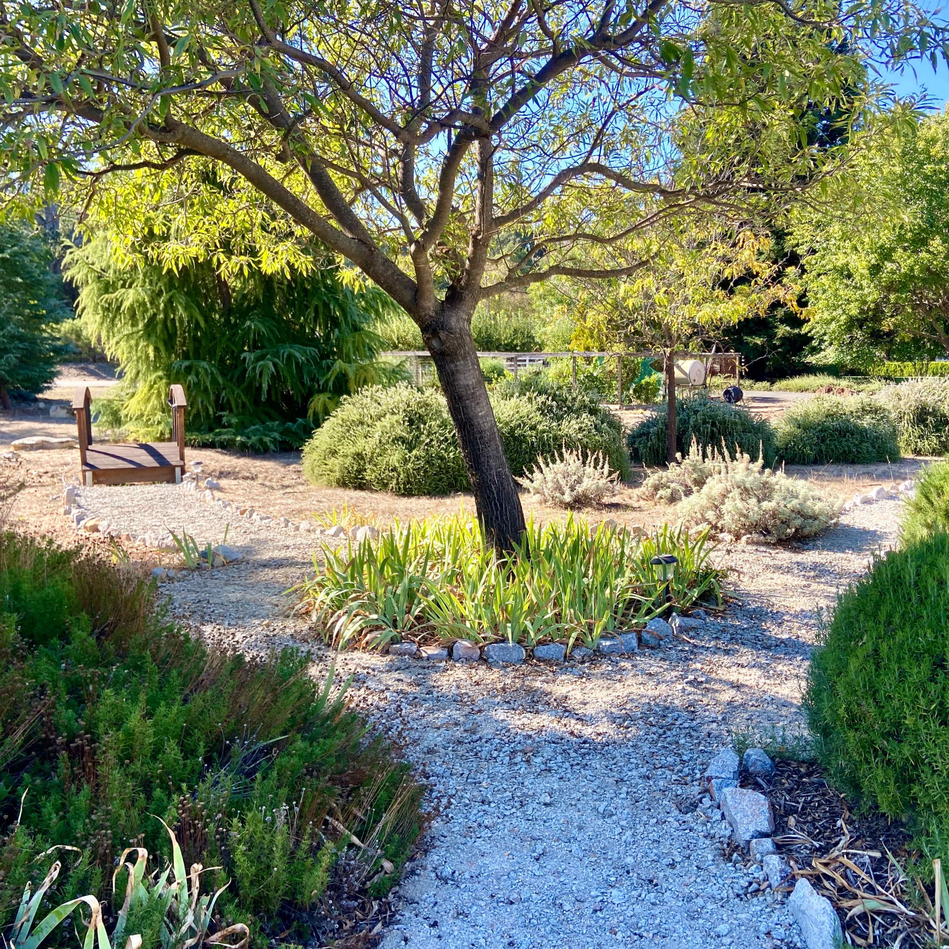 A meandering gravel path winds through landscaped greenery, featuring a central tree and various shrubs and plants.