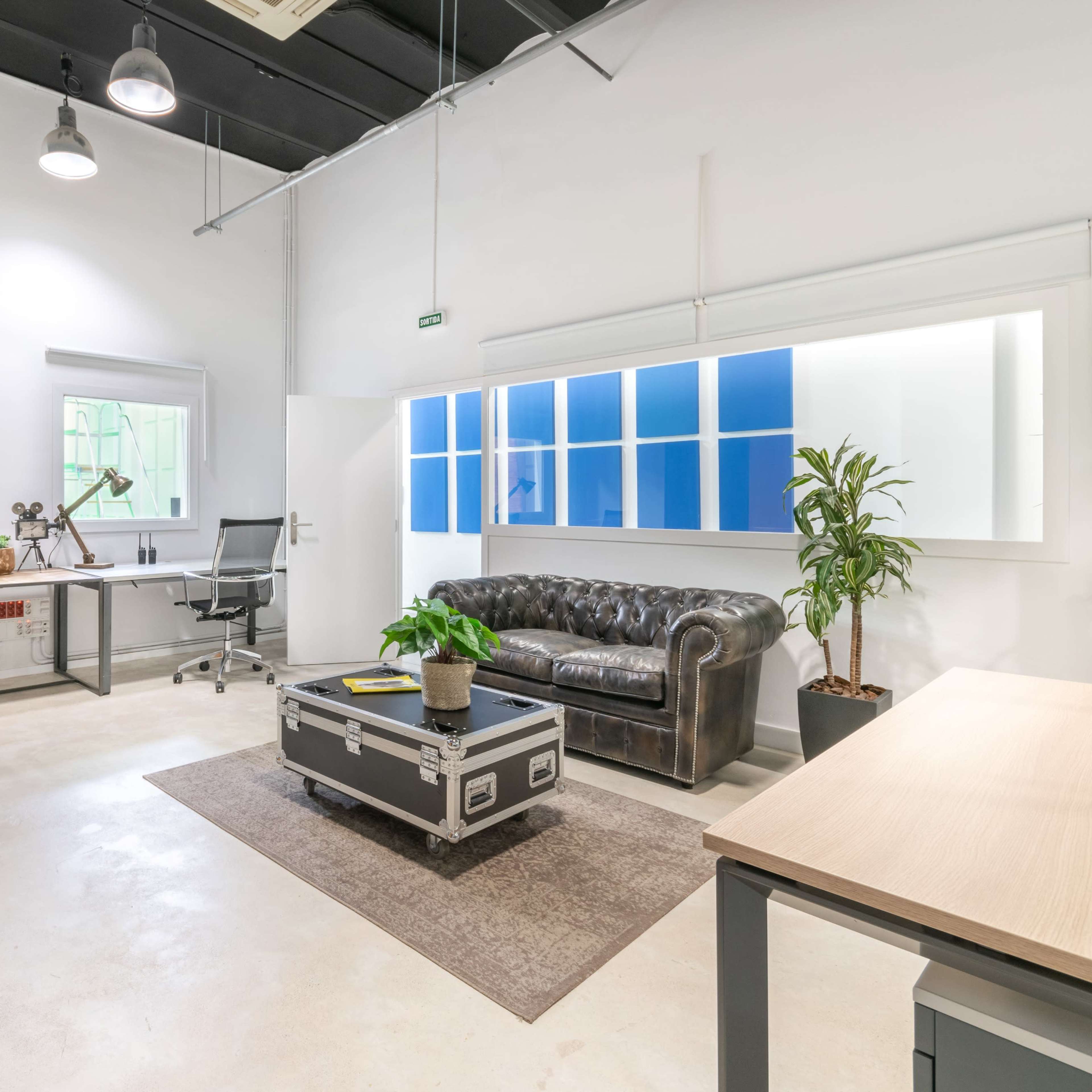 A modern office space features two desks, a leather couch, and green plants, with large windows allowing natural light.