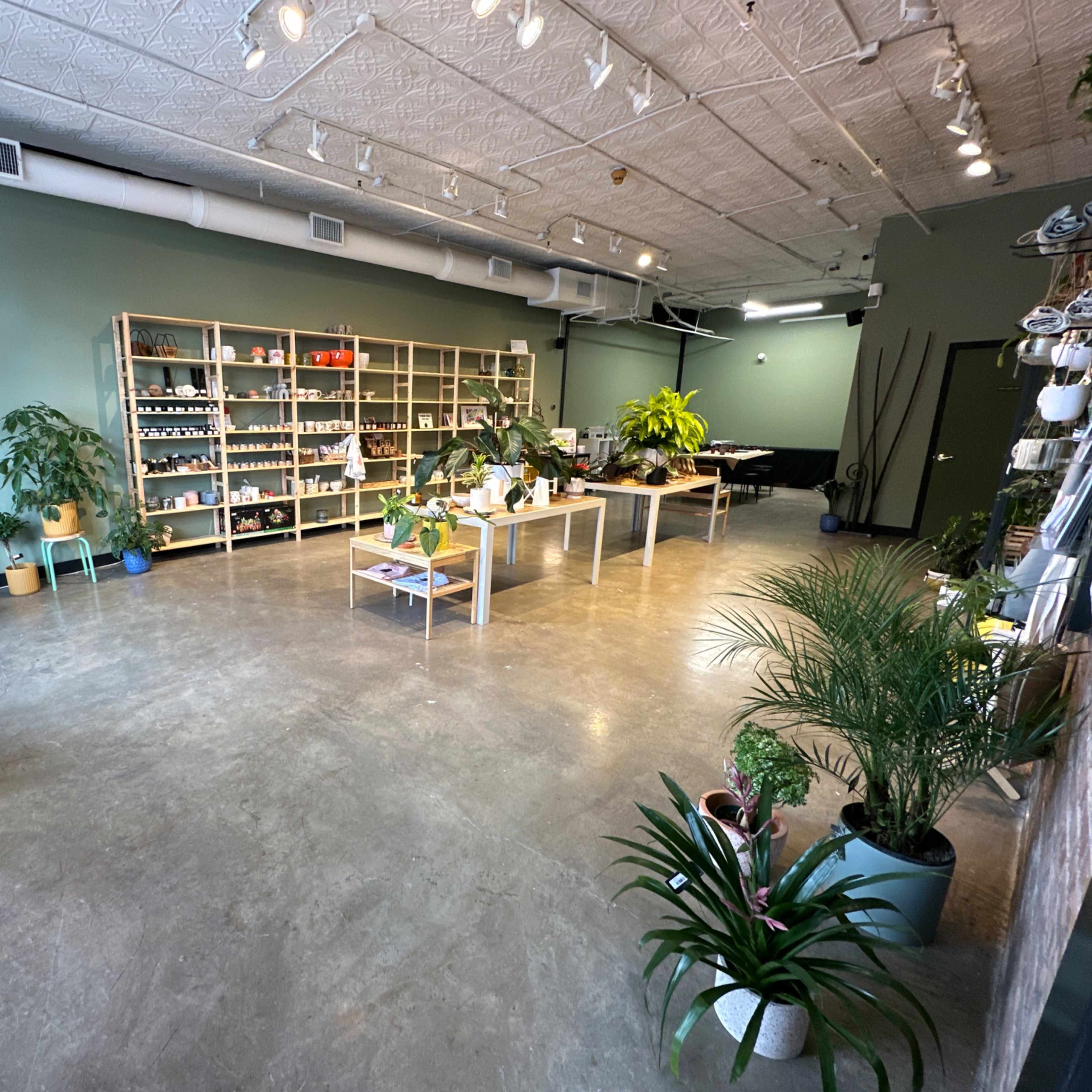 A spacious retail store features wooden shelving filled with plants and products, along with various greenery placed around a polished concrete floor.