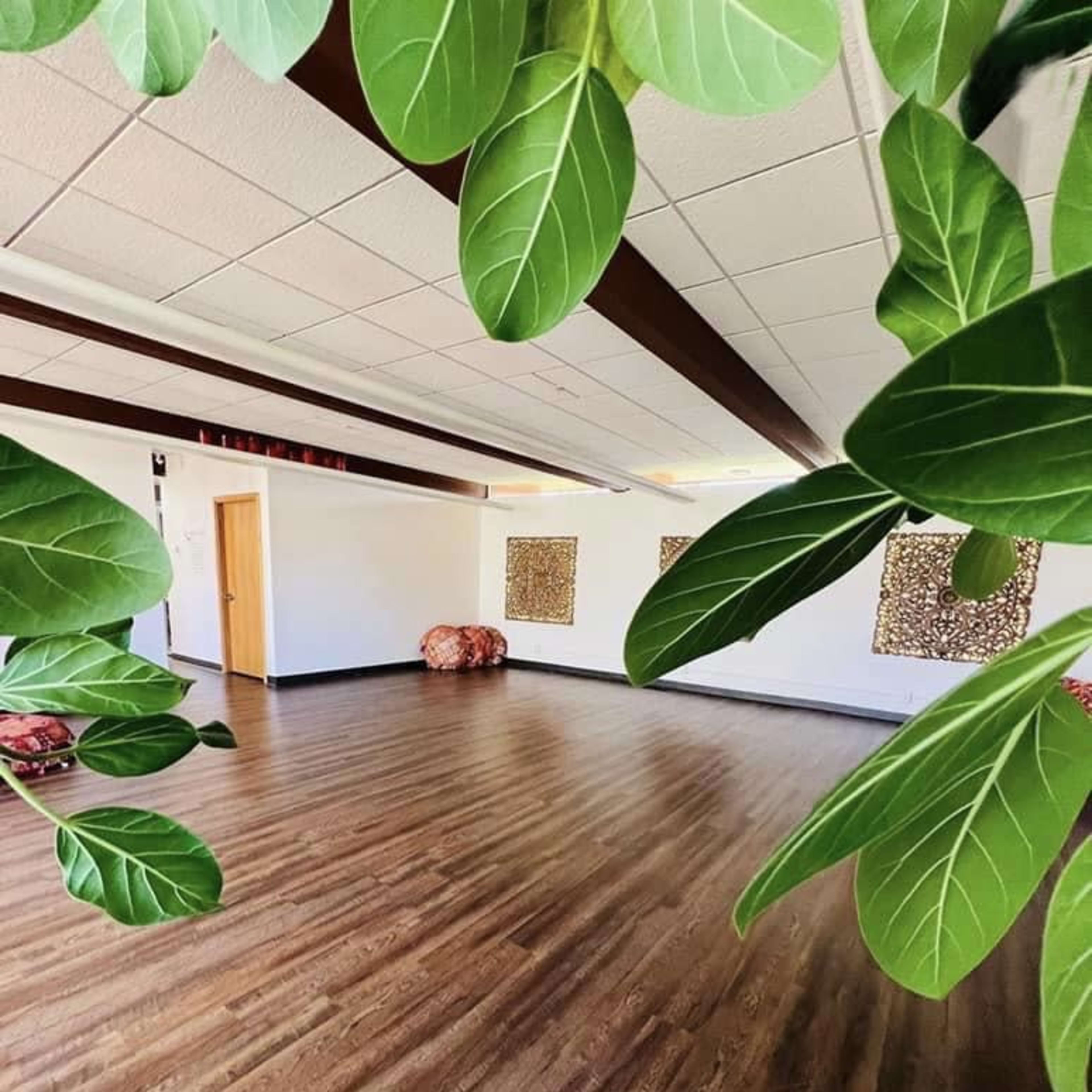 A spacious room with wooden flooring, decorated with wall art, and framed by green leaves.