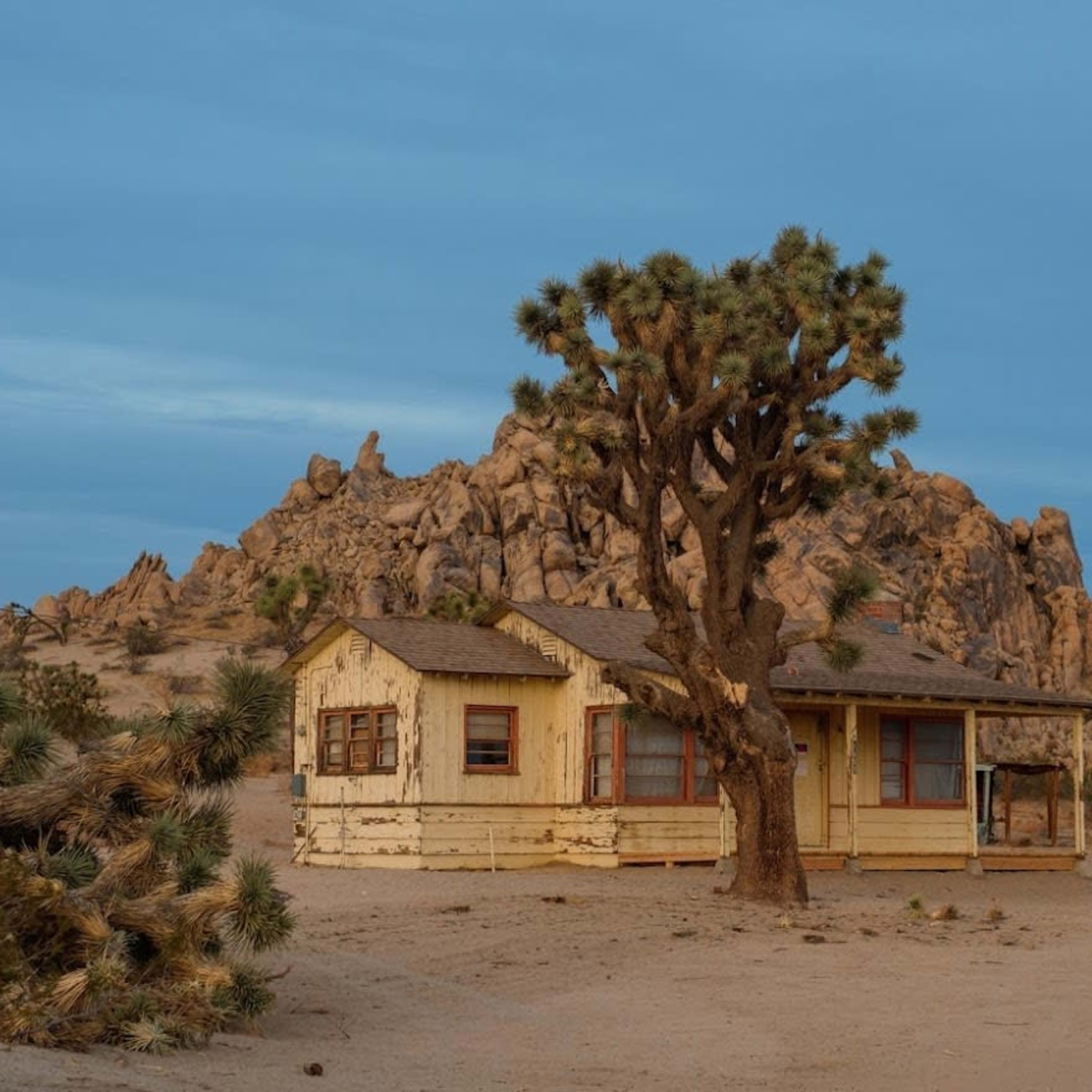 A weathered house stands beside a large Joshua tree and rocky outcrops under a cloudy sky.