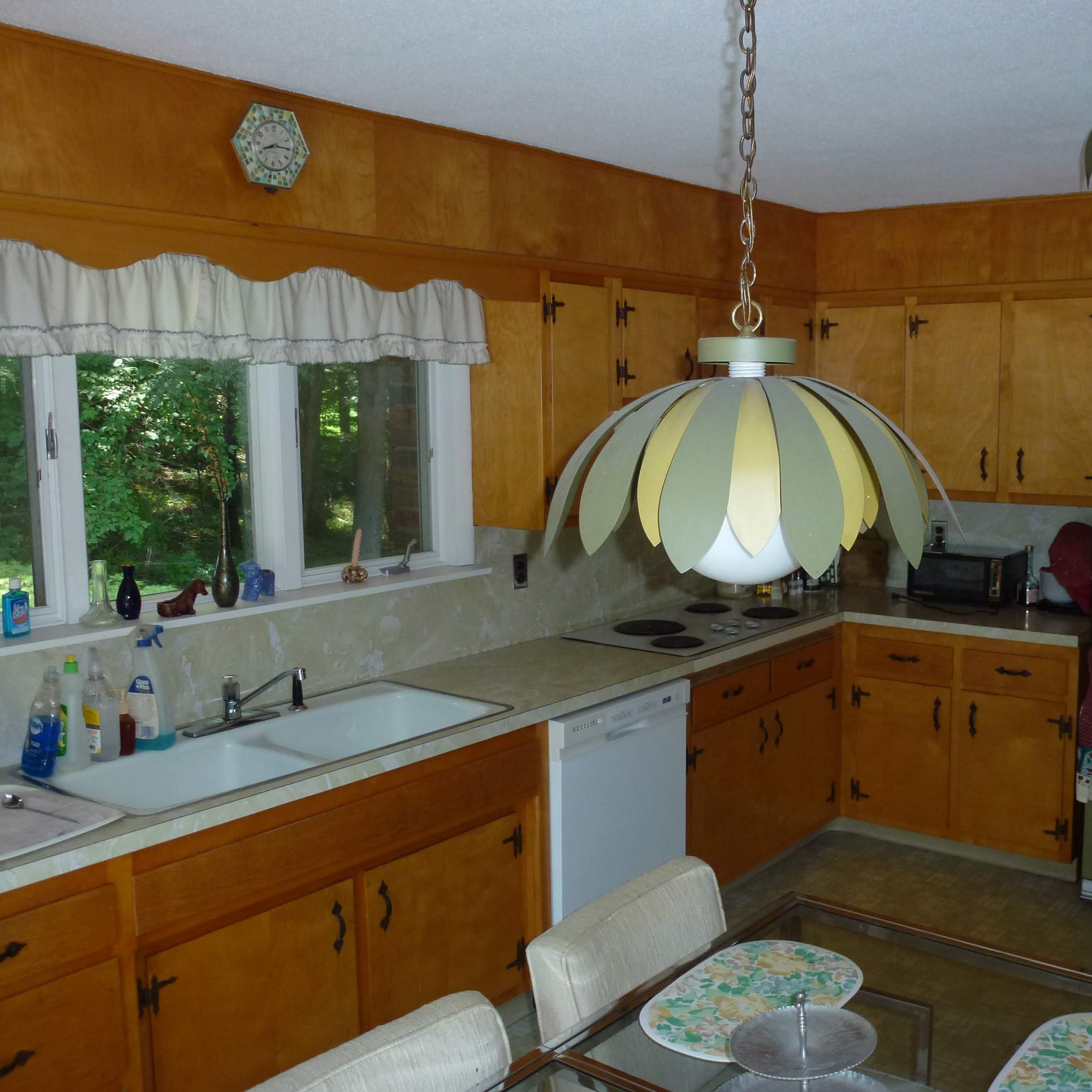 The kitchen features wooden cabinetry, a green refrigerator, and leaf-shaped ceiling lights.