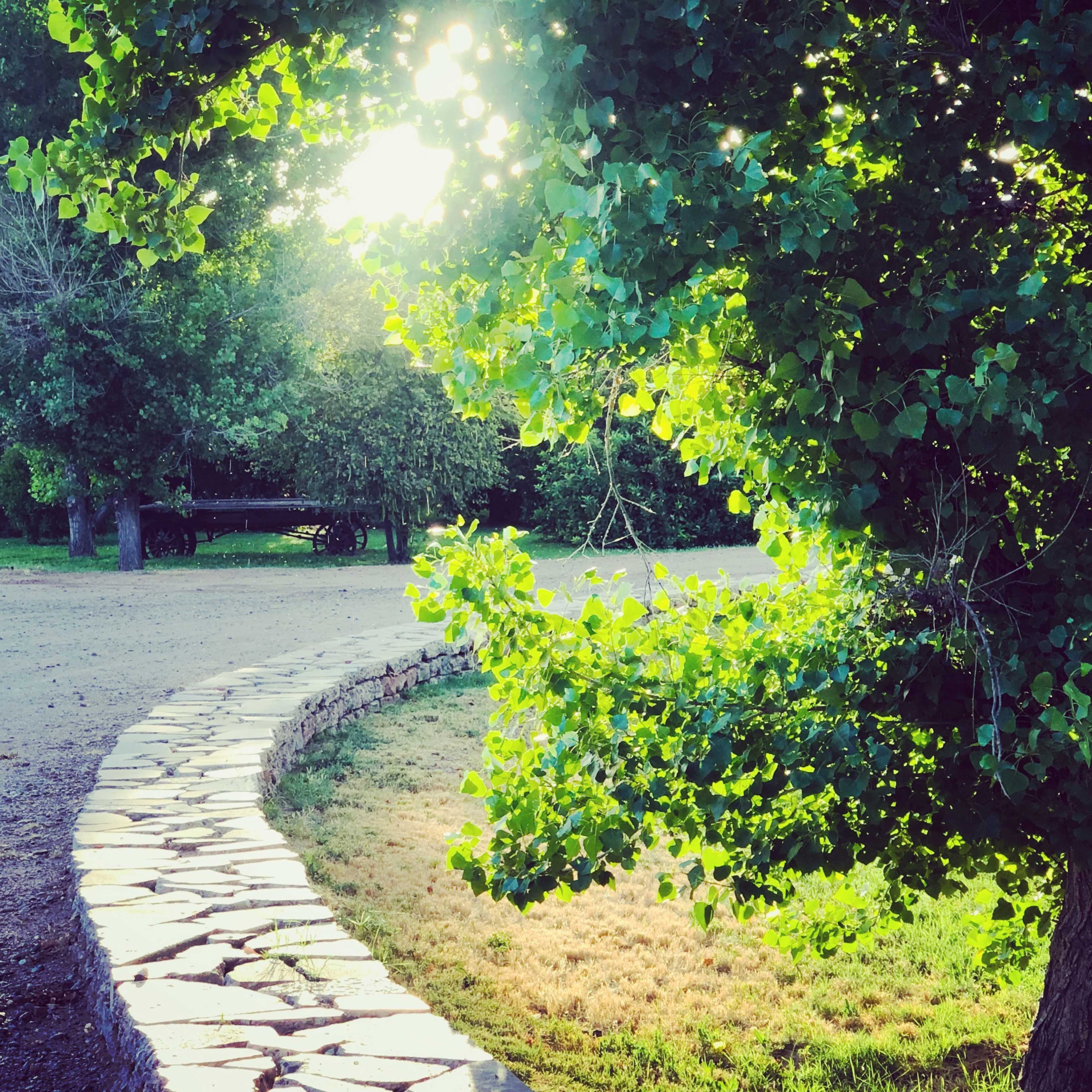 A stone path curves along a grassy area surrounded by trees, with sunlight filtering through the leaves.