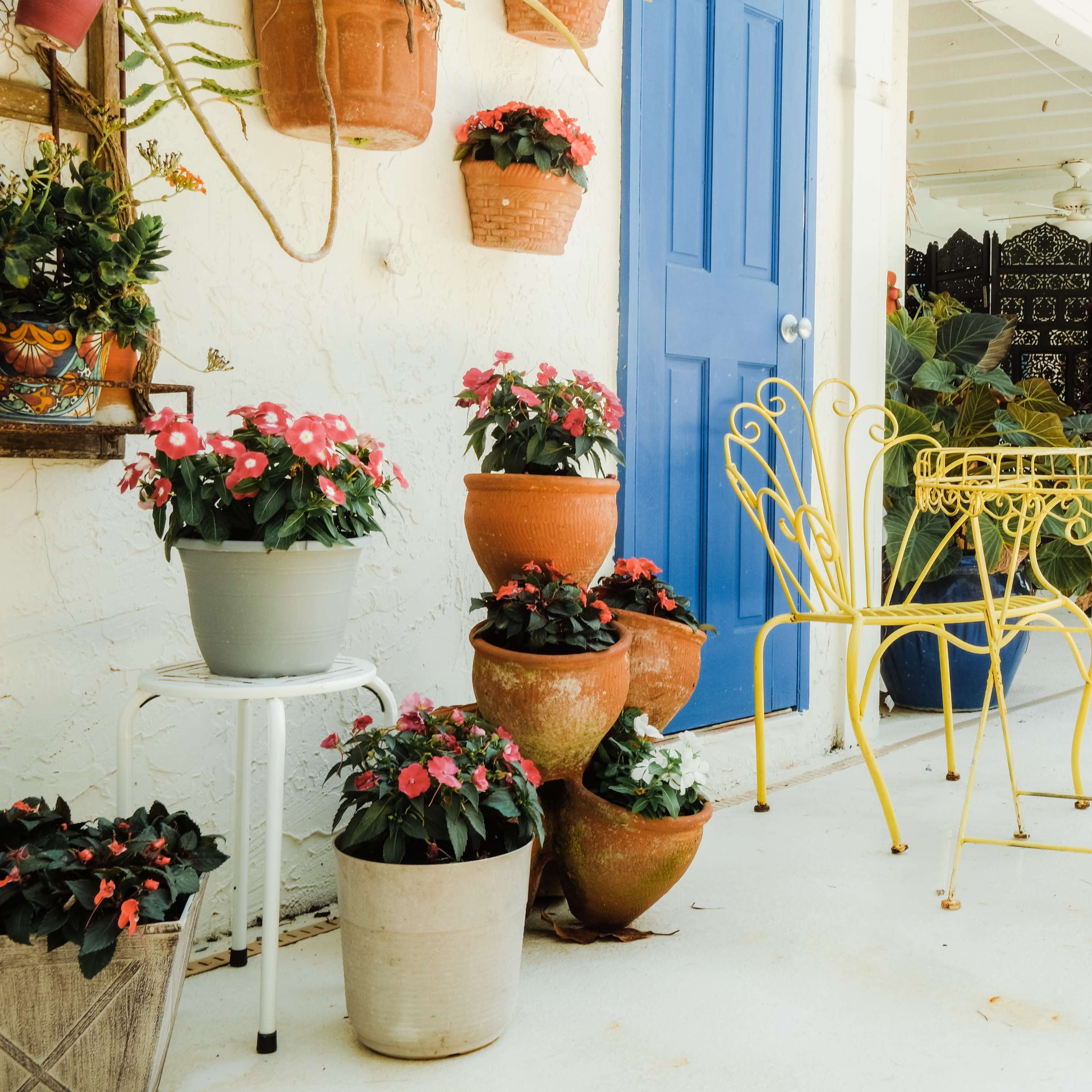 A yellow metal table and chair set is positioned beside potted plants with colorful flowers against a white wall and a blue door.
