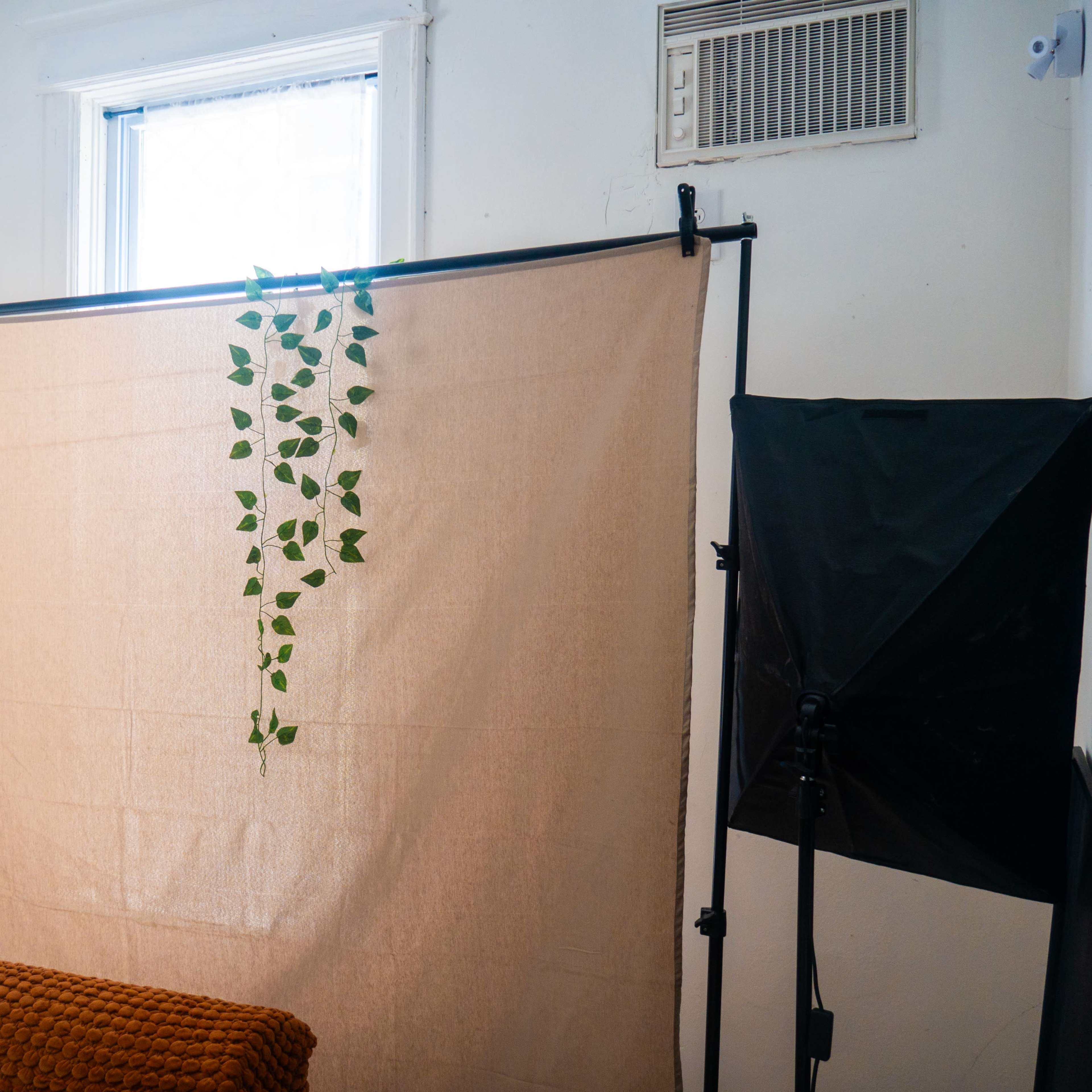 A beige fabric curtain with trailing green plants hangs in a bright room, alongside a black studio light.