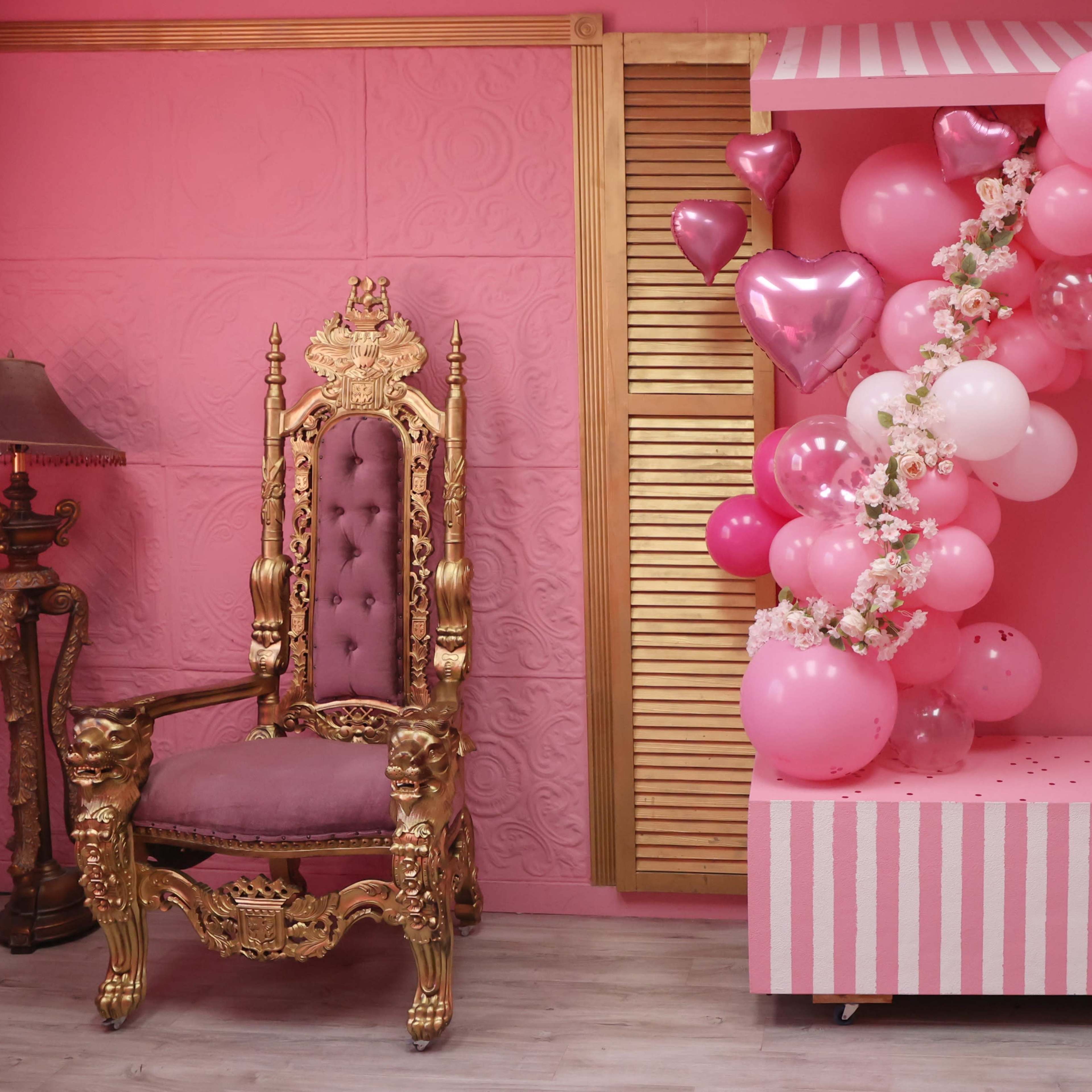 Hip Photo Studio 3 pink room - Equipment Available Image in Gessner Road Commerce Park, Missouri City, TX