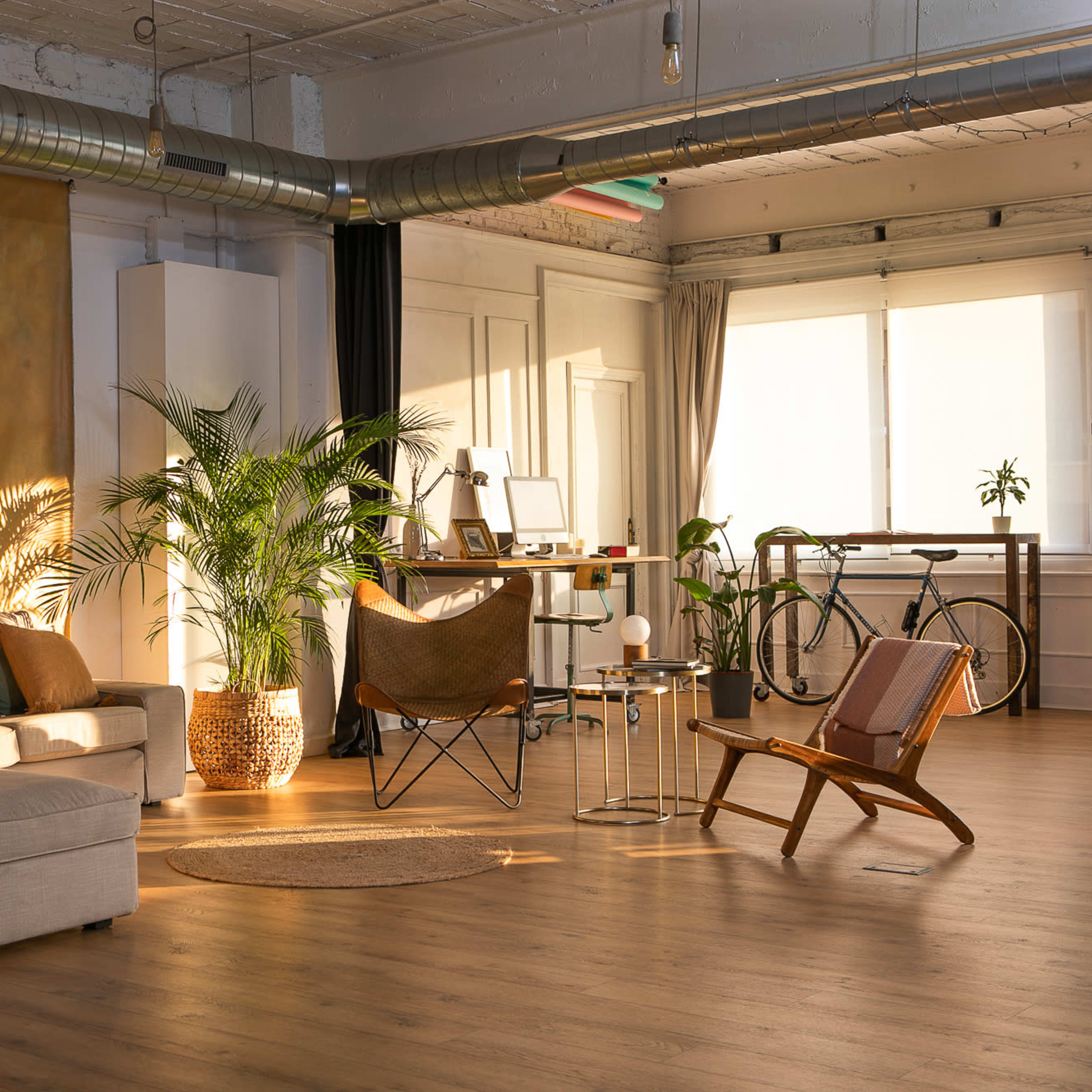 A modern, spacious interior featuring a living area with a sofa, chairs, plants, and a workspace bathed in natural light.