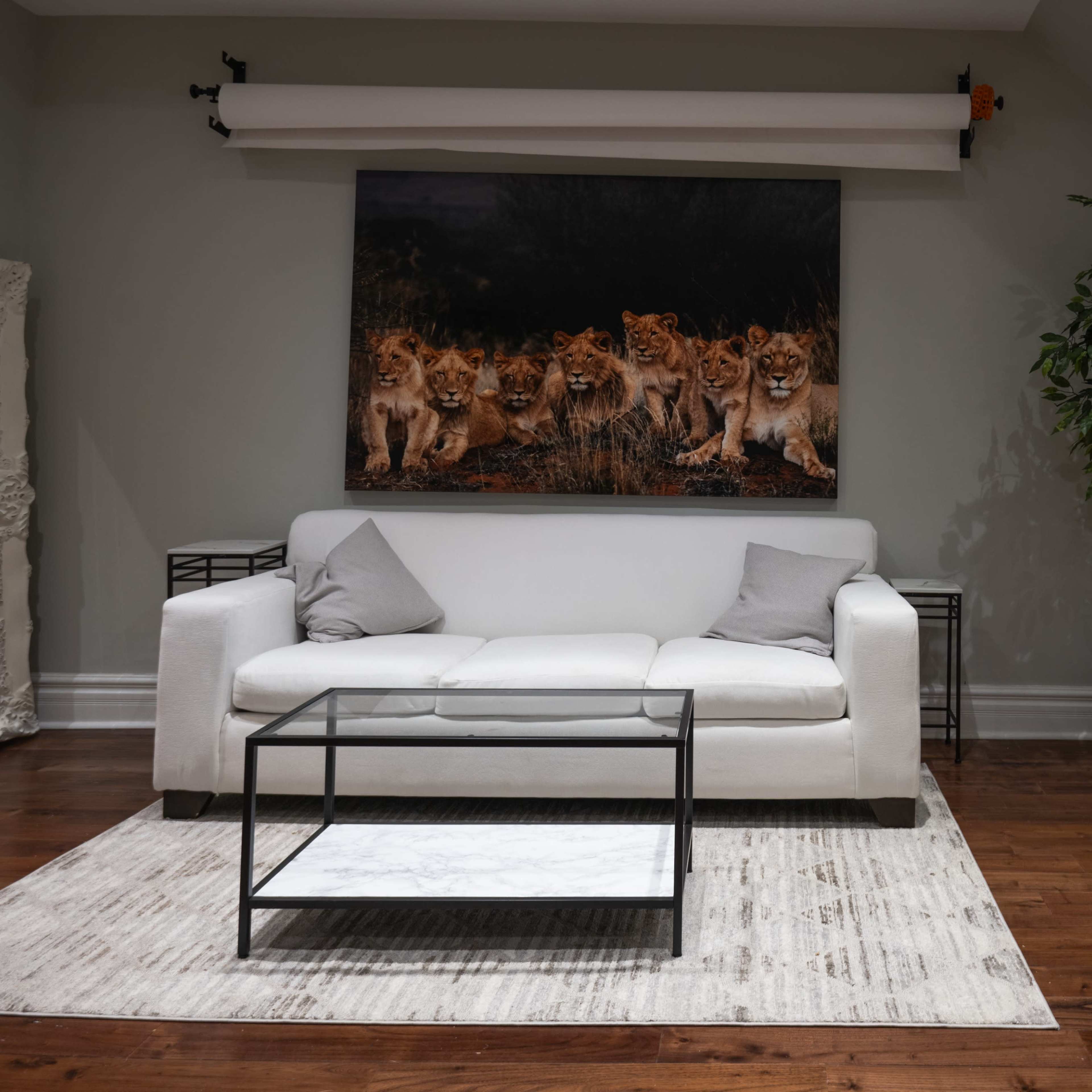 Beautiful Home/ Photo Studio Image in Toronto, Toronto, ON