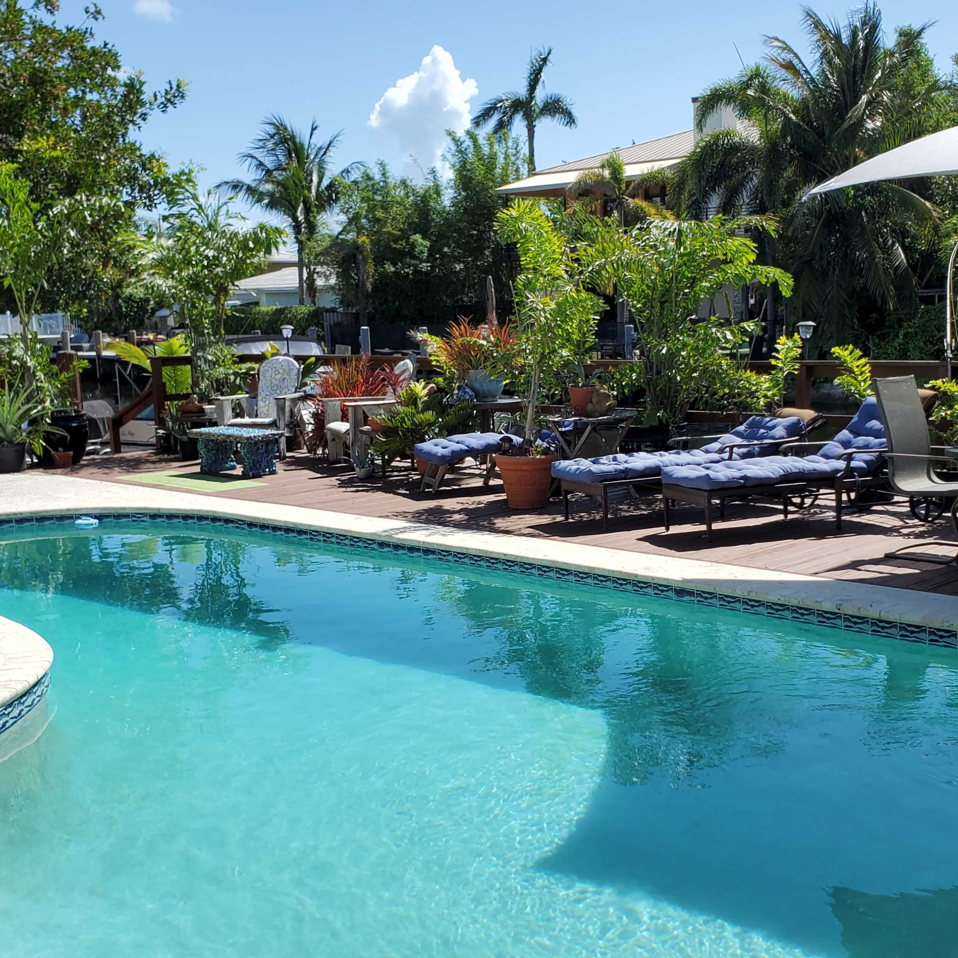 The scene features a swimming pool surrounded by lounge chairs and tropical plants in a sunny outdoor setting.